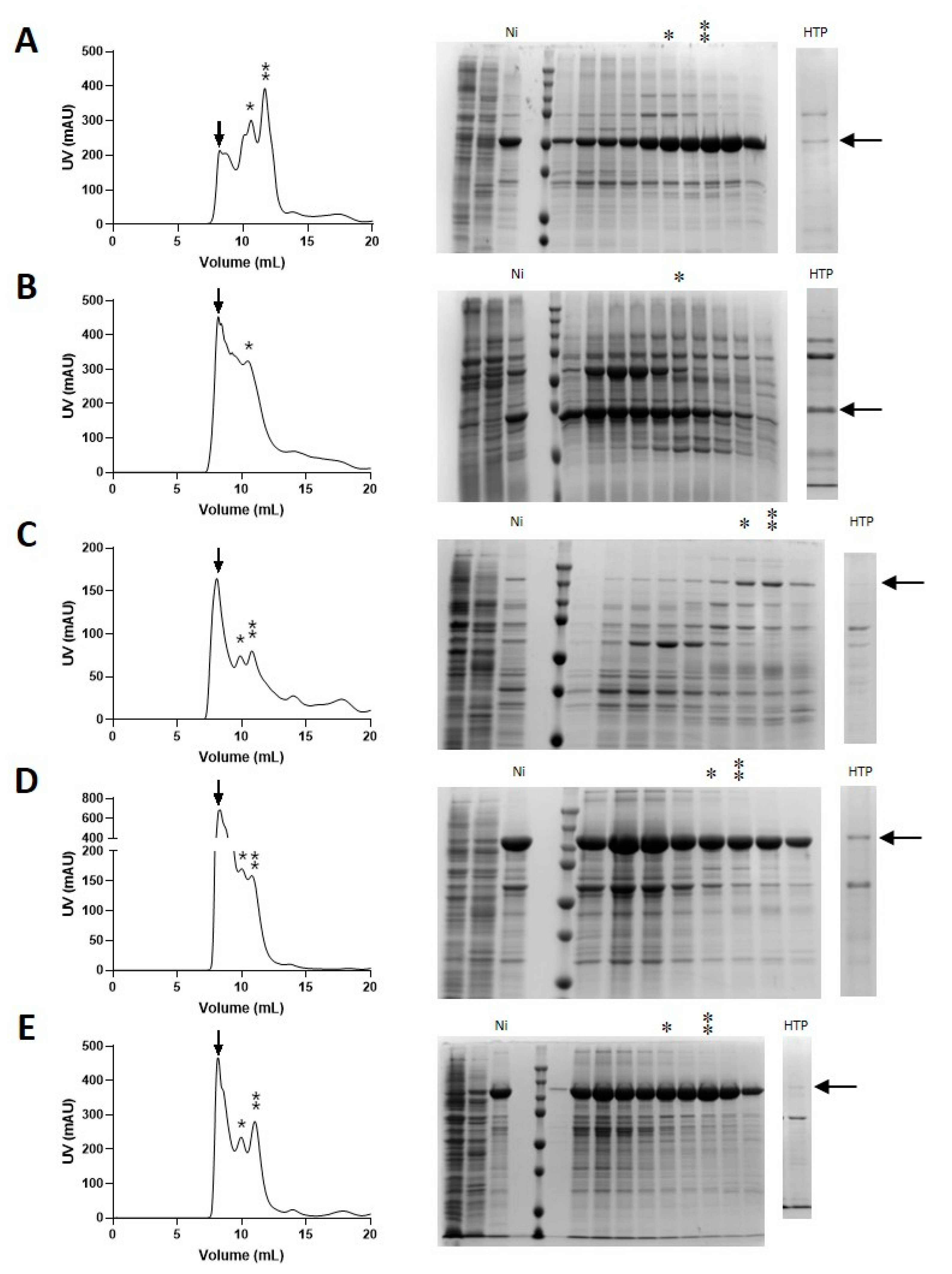 Processes 09 00629 g003