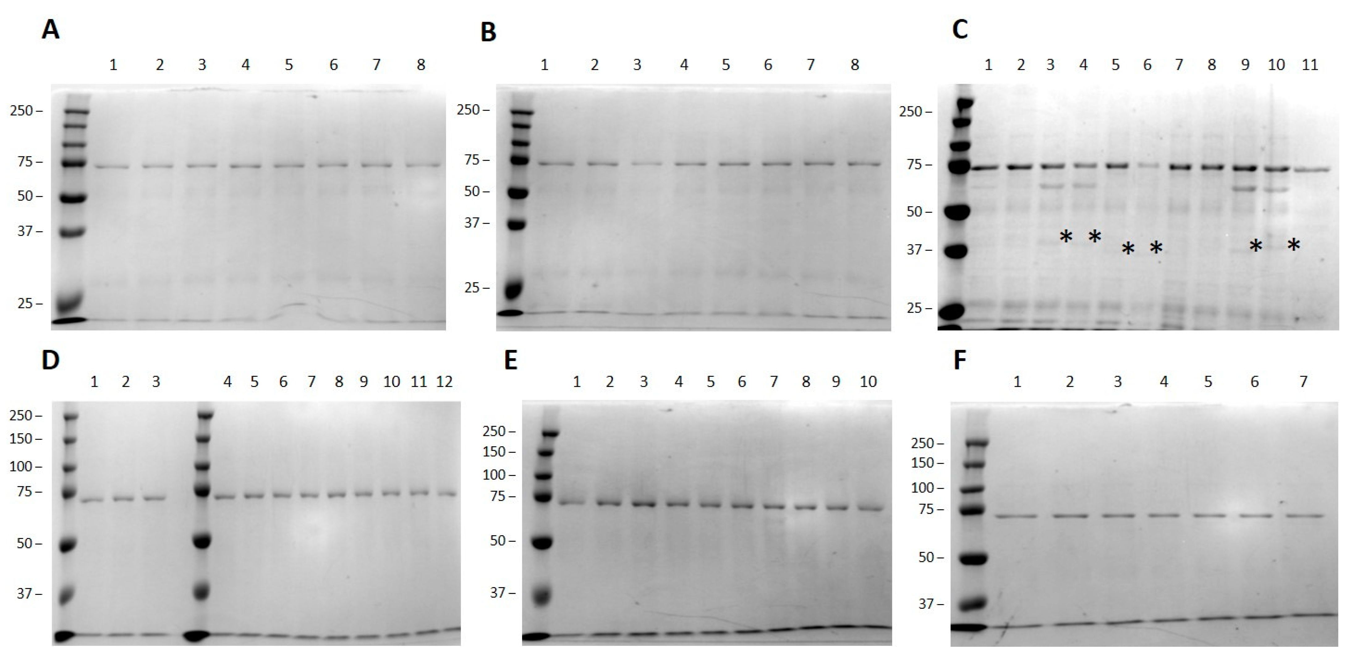 Processes 09 00629 g0a1