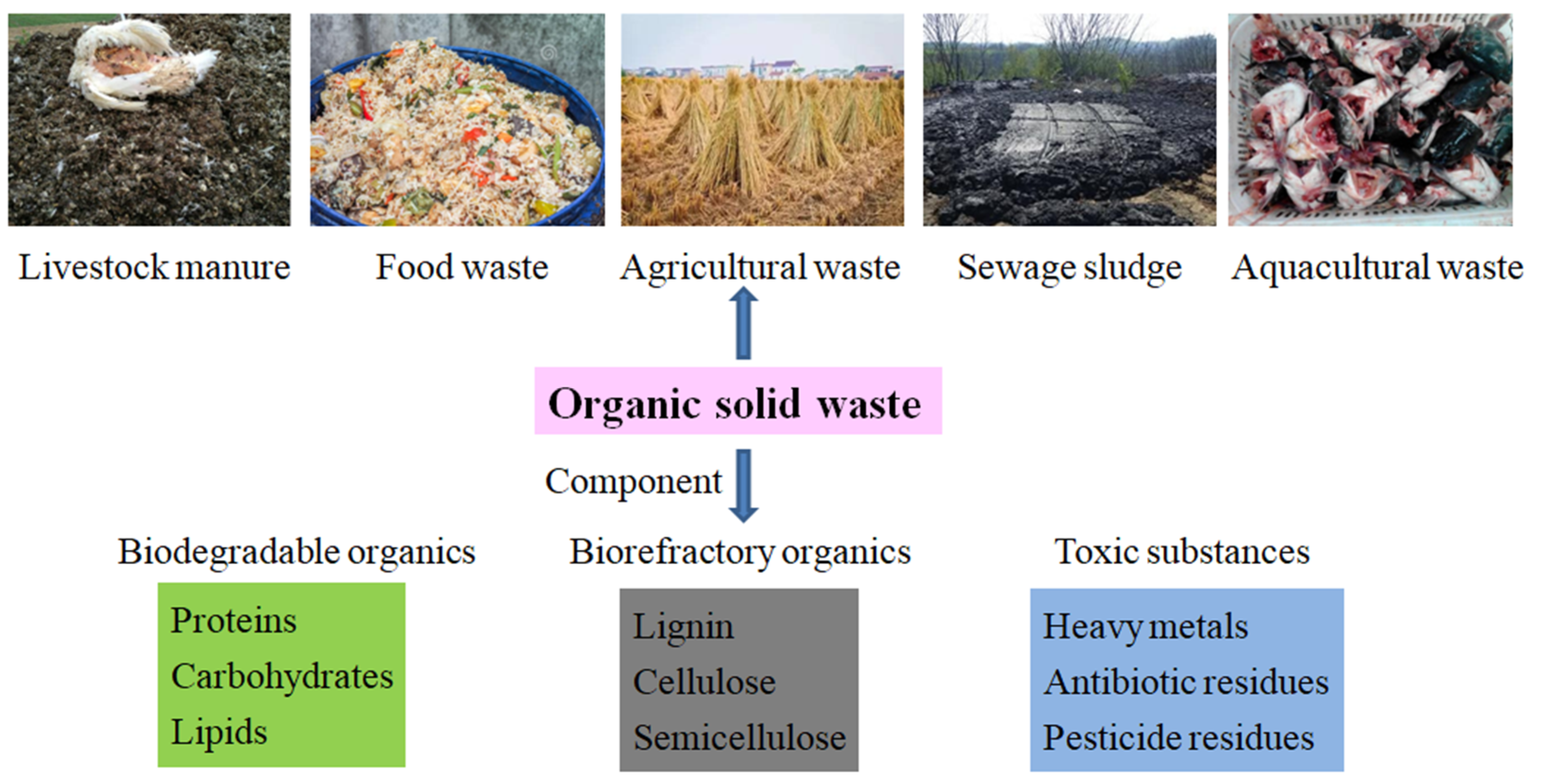 Processes 09 00675 g001