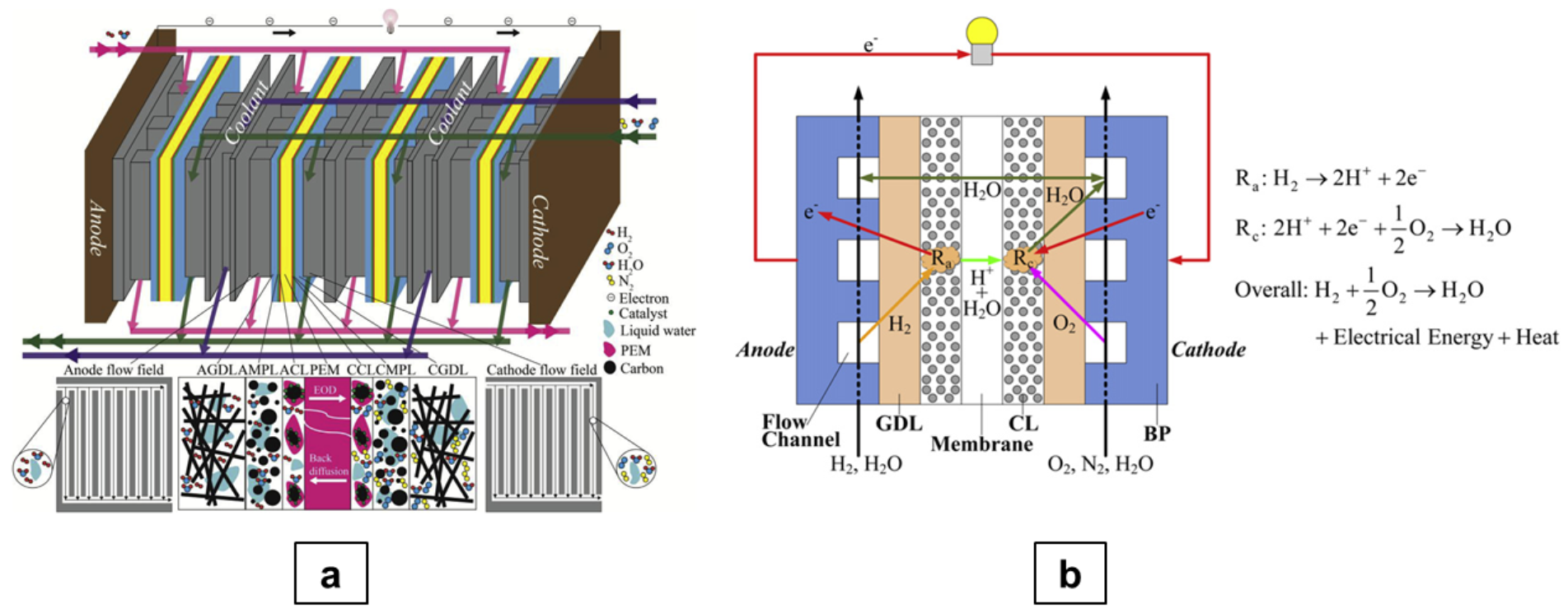 Processes 09 00688 g001 Processes 09 00688 g001