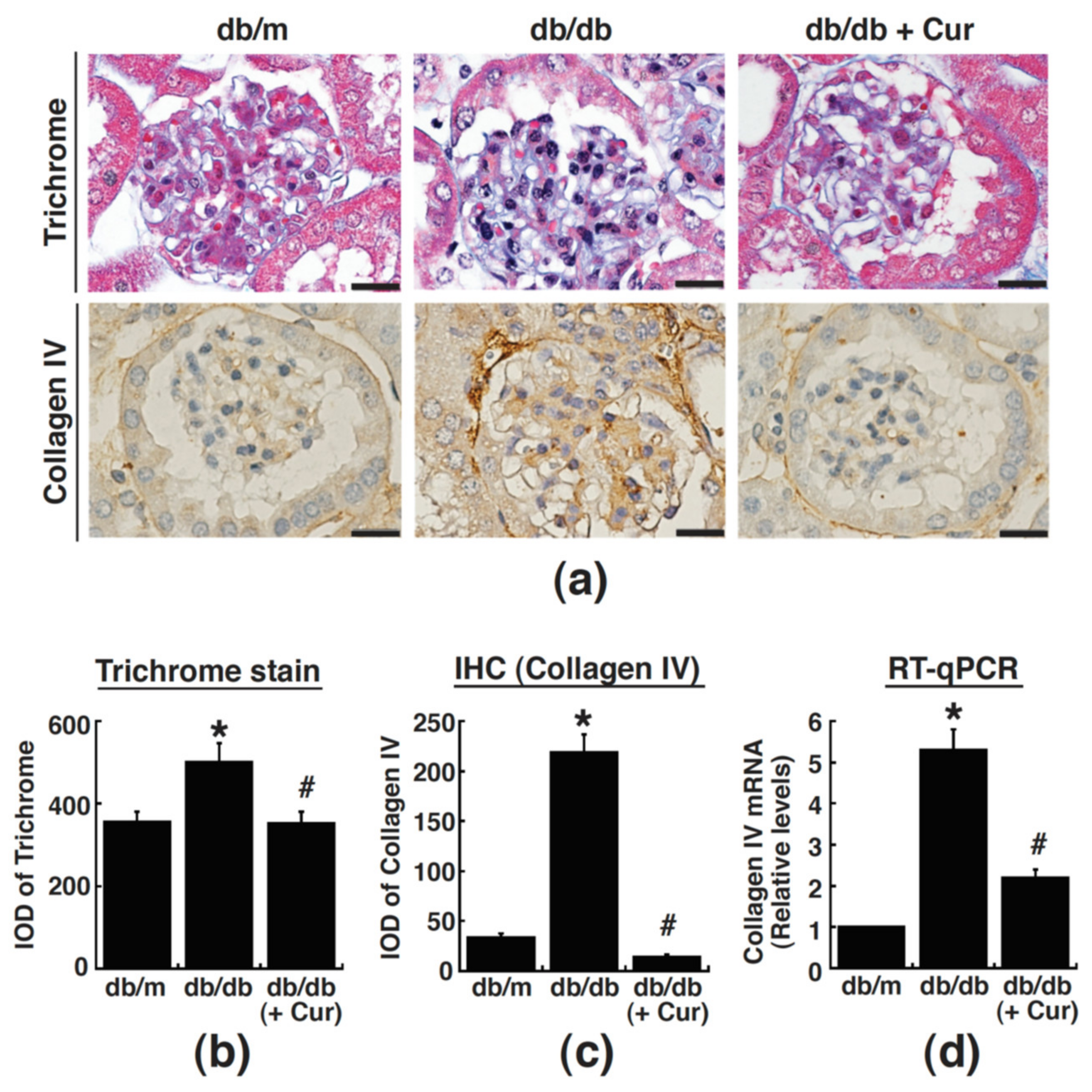 Processes 09 00694 g003 Processes 09 00694 g003