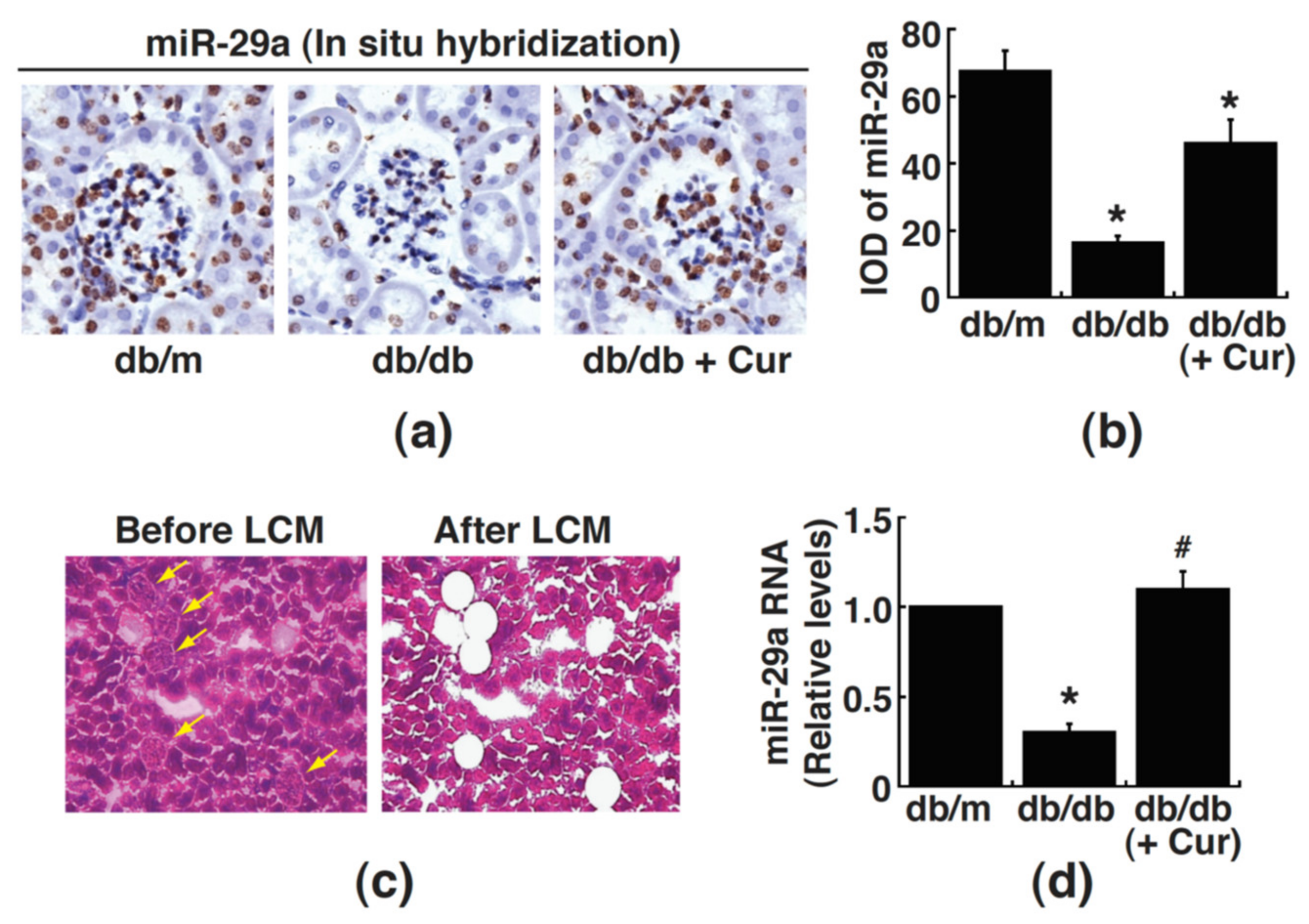 Processes 09 00694 g005 Processes 09 00694 g005