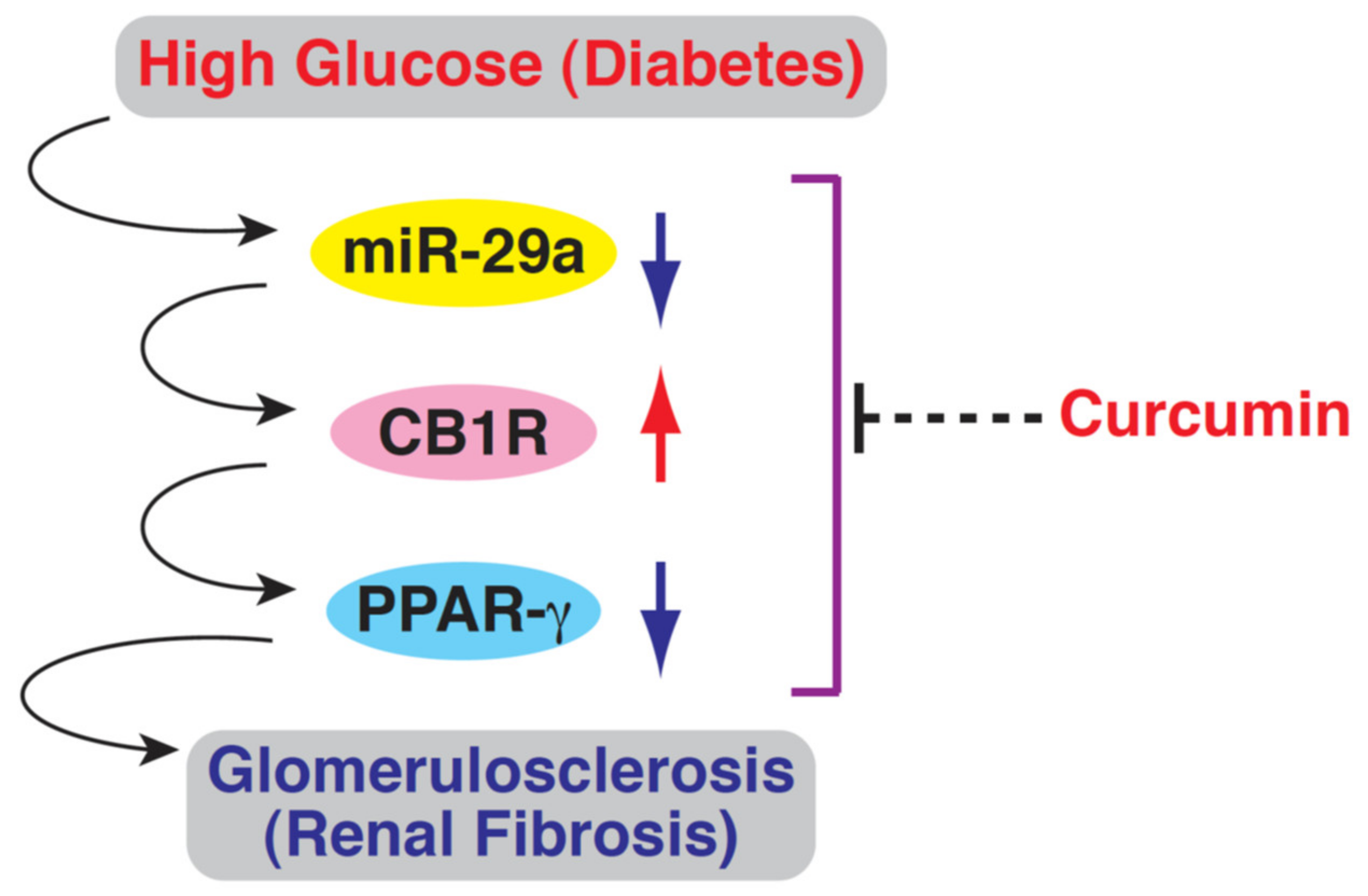 Processes 09 00694 g006 Processes 09 00694 g006
