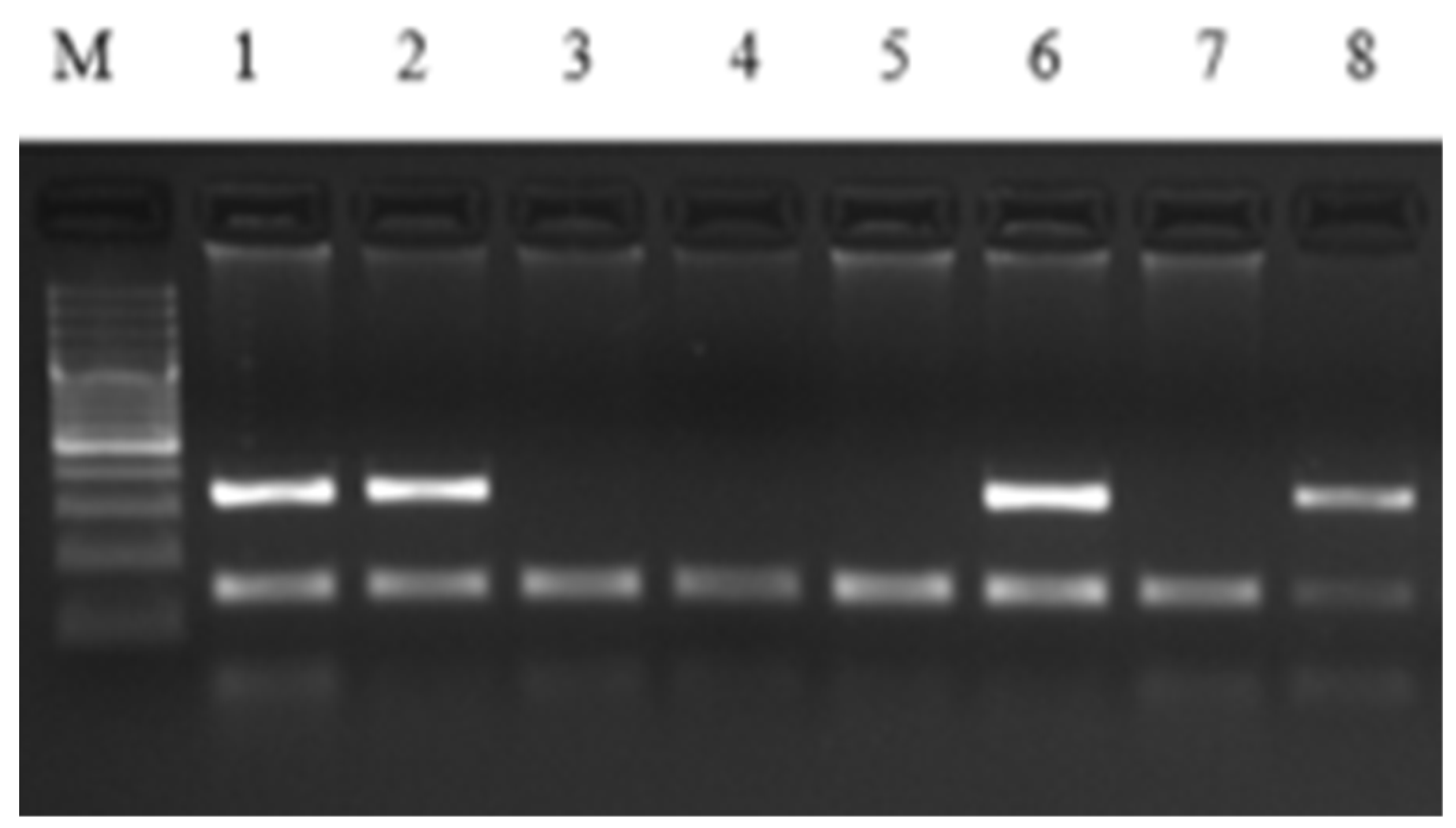 Processes 09 00716 g003