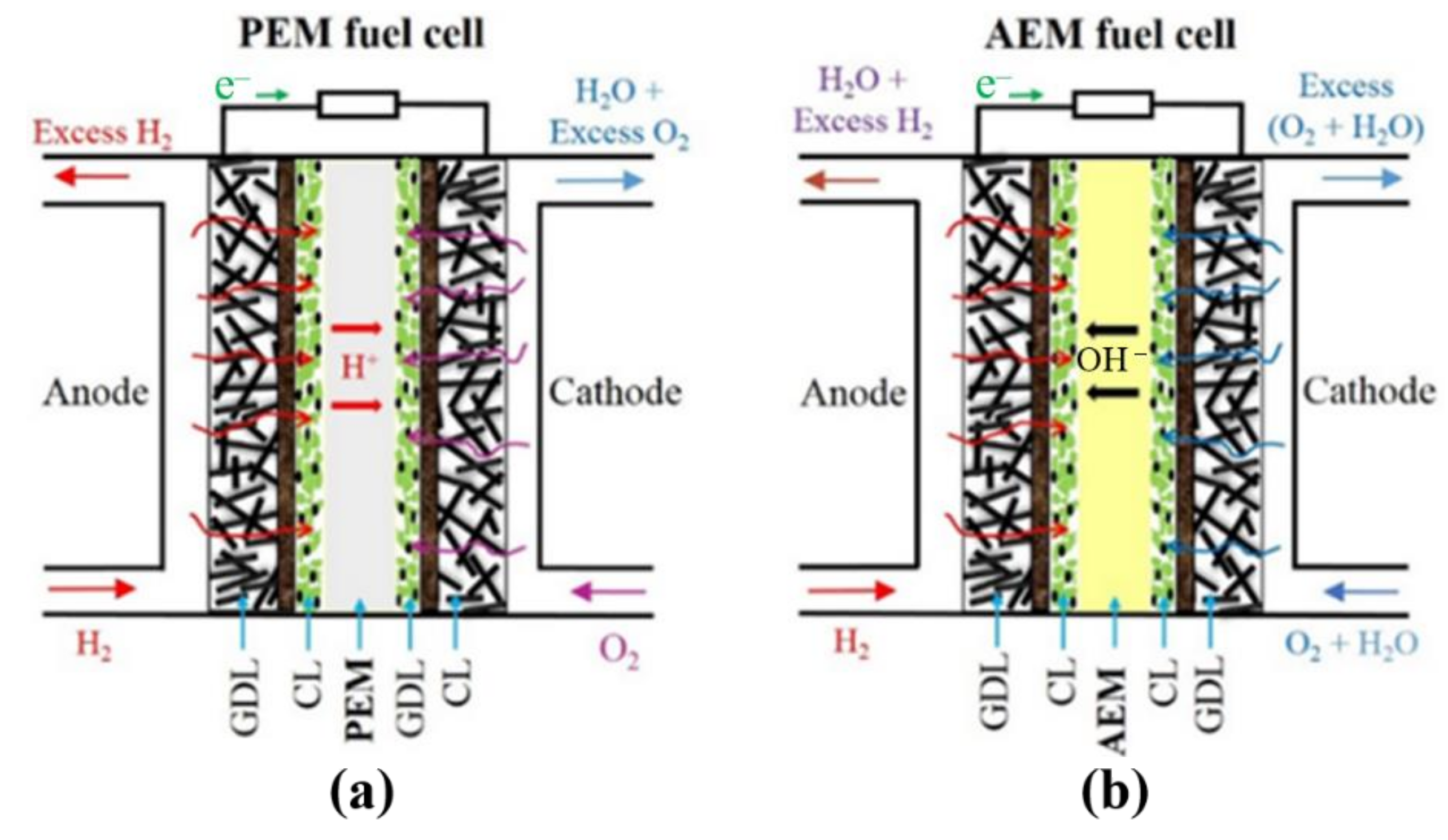 Processes Free FullText Effect of Gas Diffusion Layer Thickness on