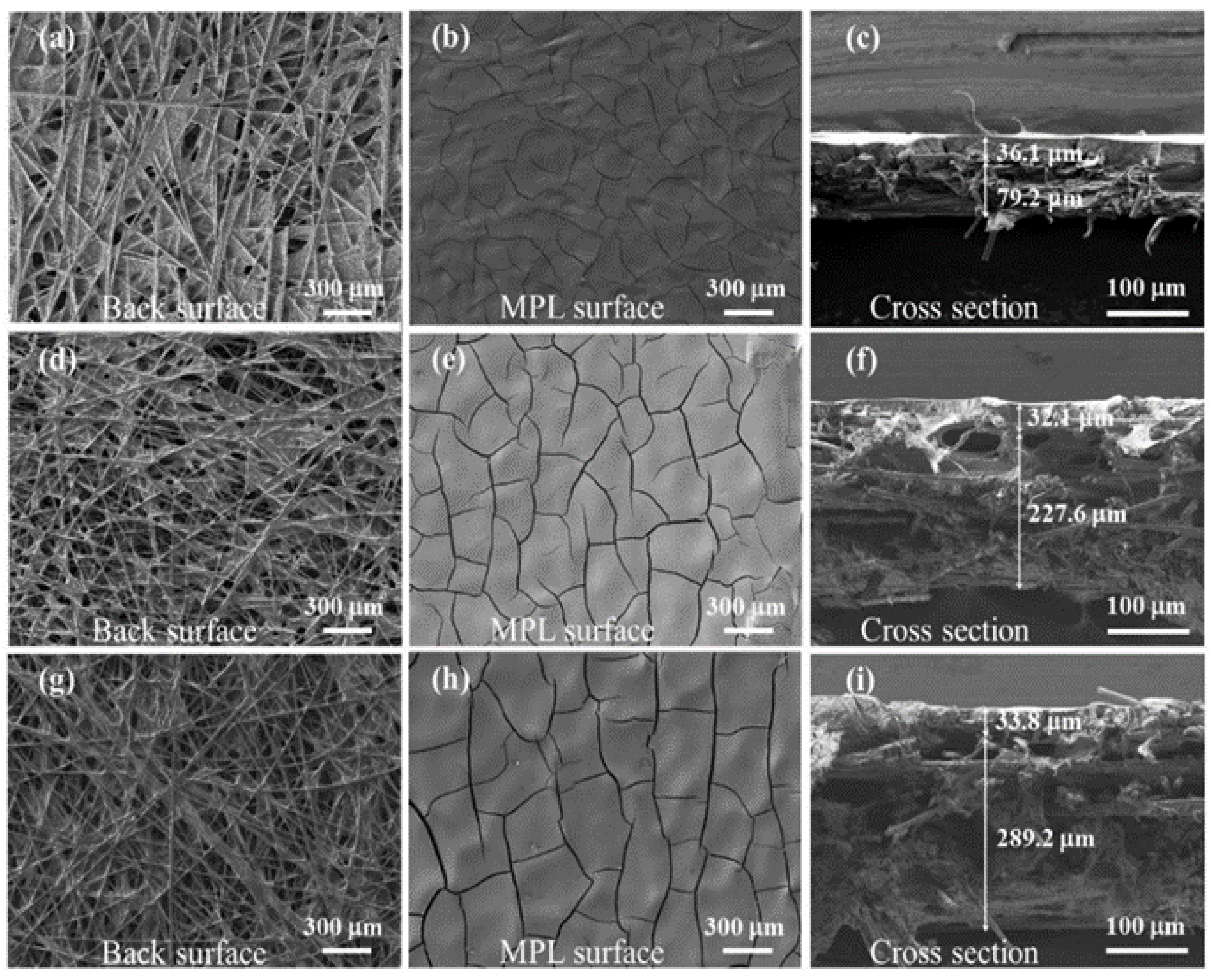 Processes 09 00718 g002 Processes 09 00718 g002