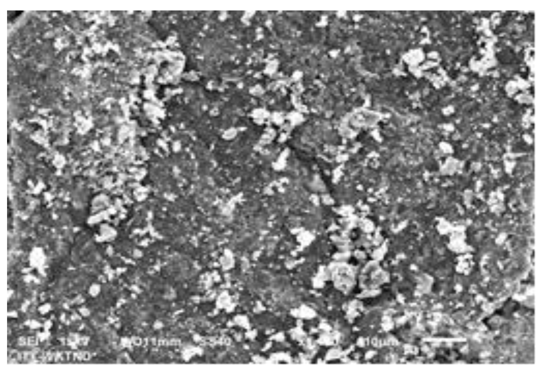 Processes 09 00720 g001 Processes 09 00720 g001