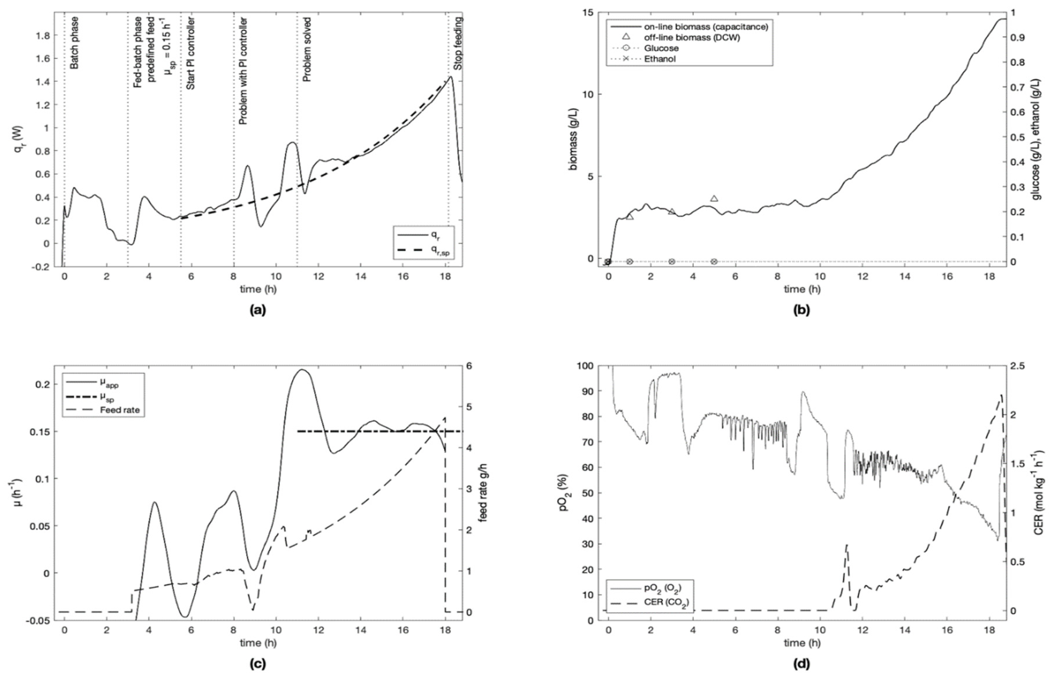 Processes 09 00723 g005