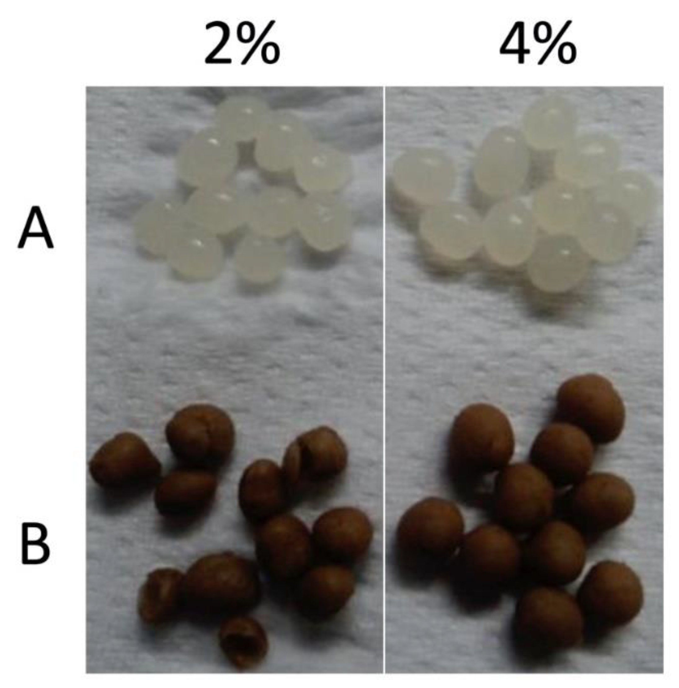 Processes 09 00724 g001 Processes 09 00724 g001