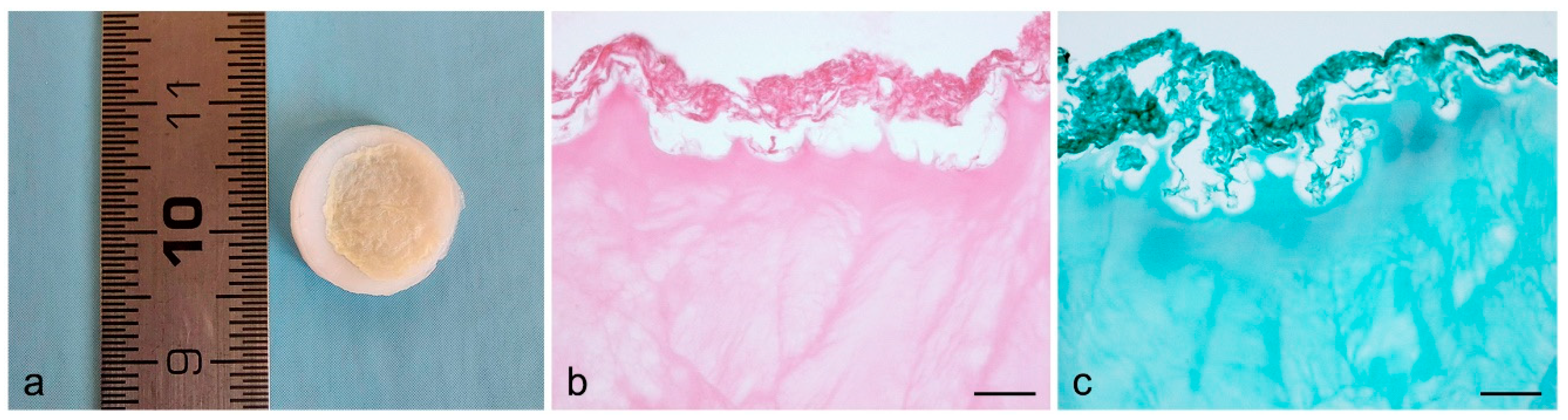 Processes 09 00730 g003