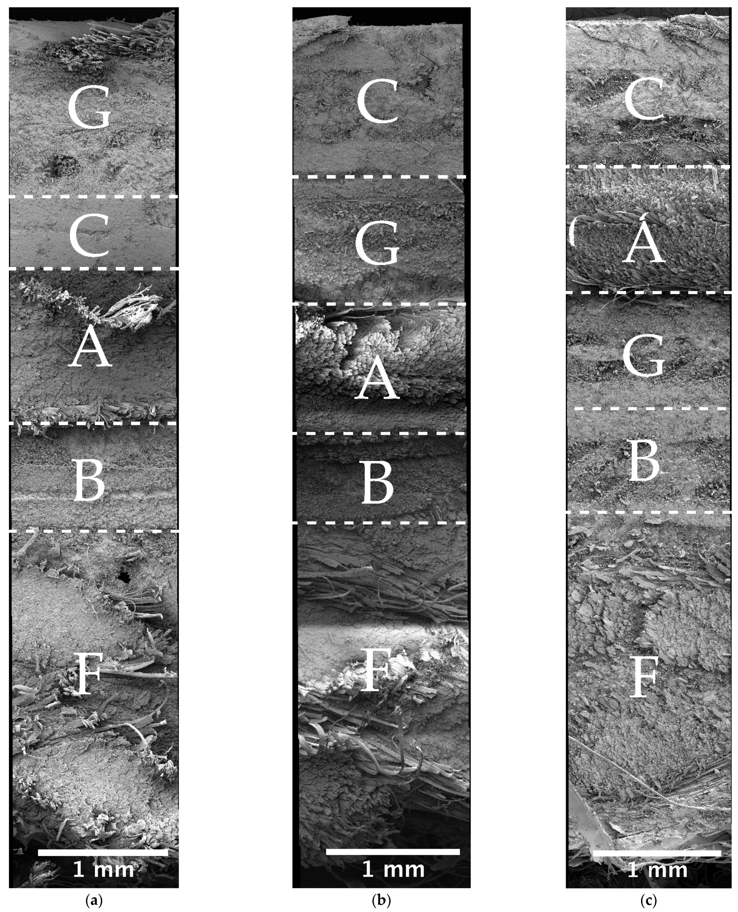 Processes 09 00738 g001a Processes 09 00738 g001a