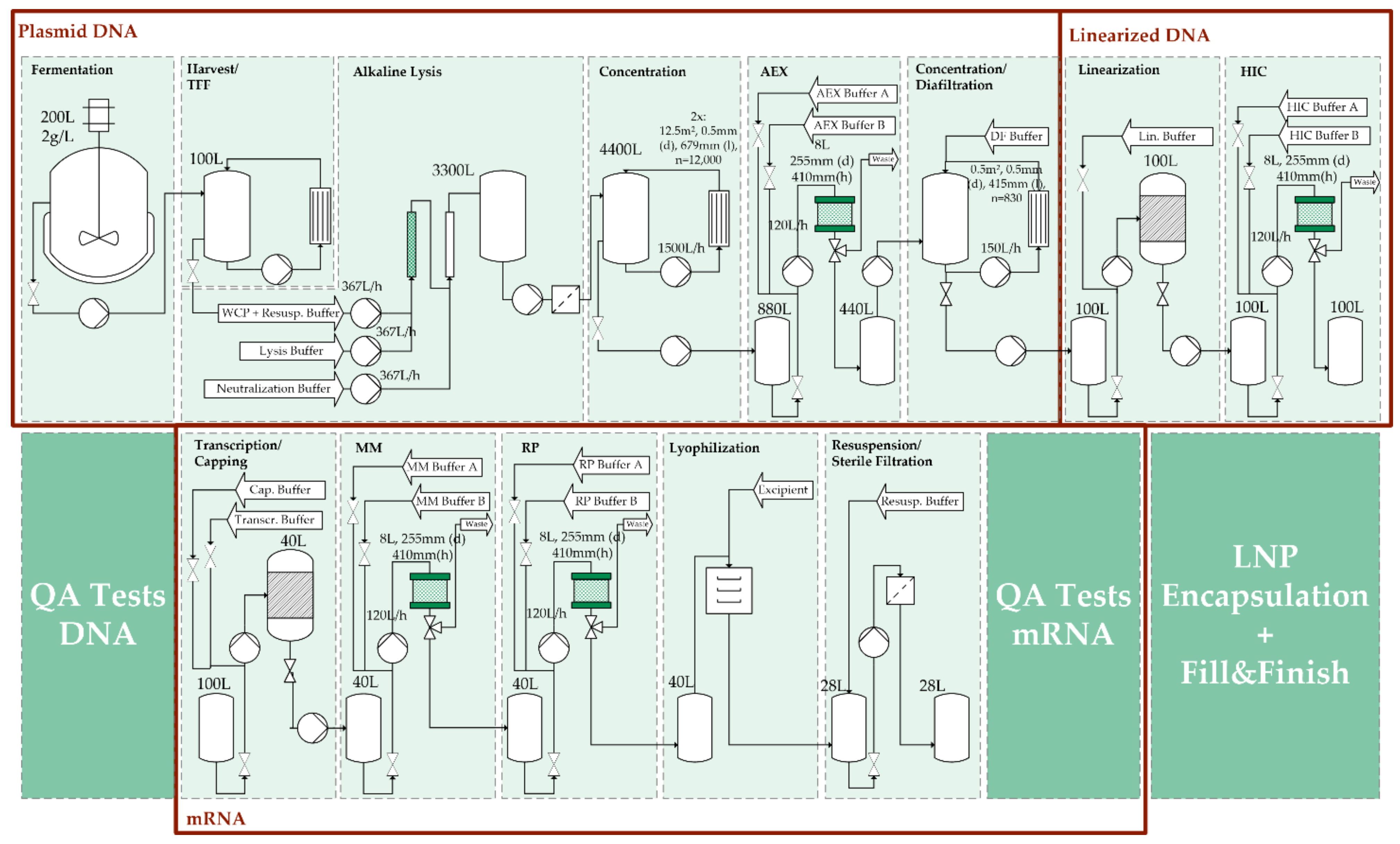 covid vaccine production schedule covid vaccine production schedule