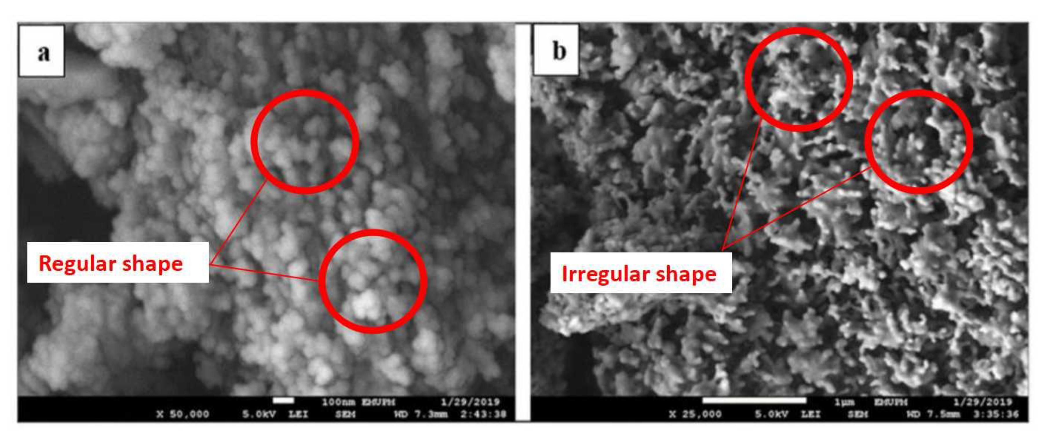 Processes 09 00750 g006 Processes 09 00750 g006