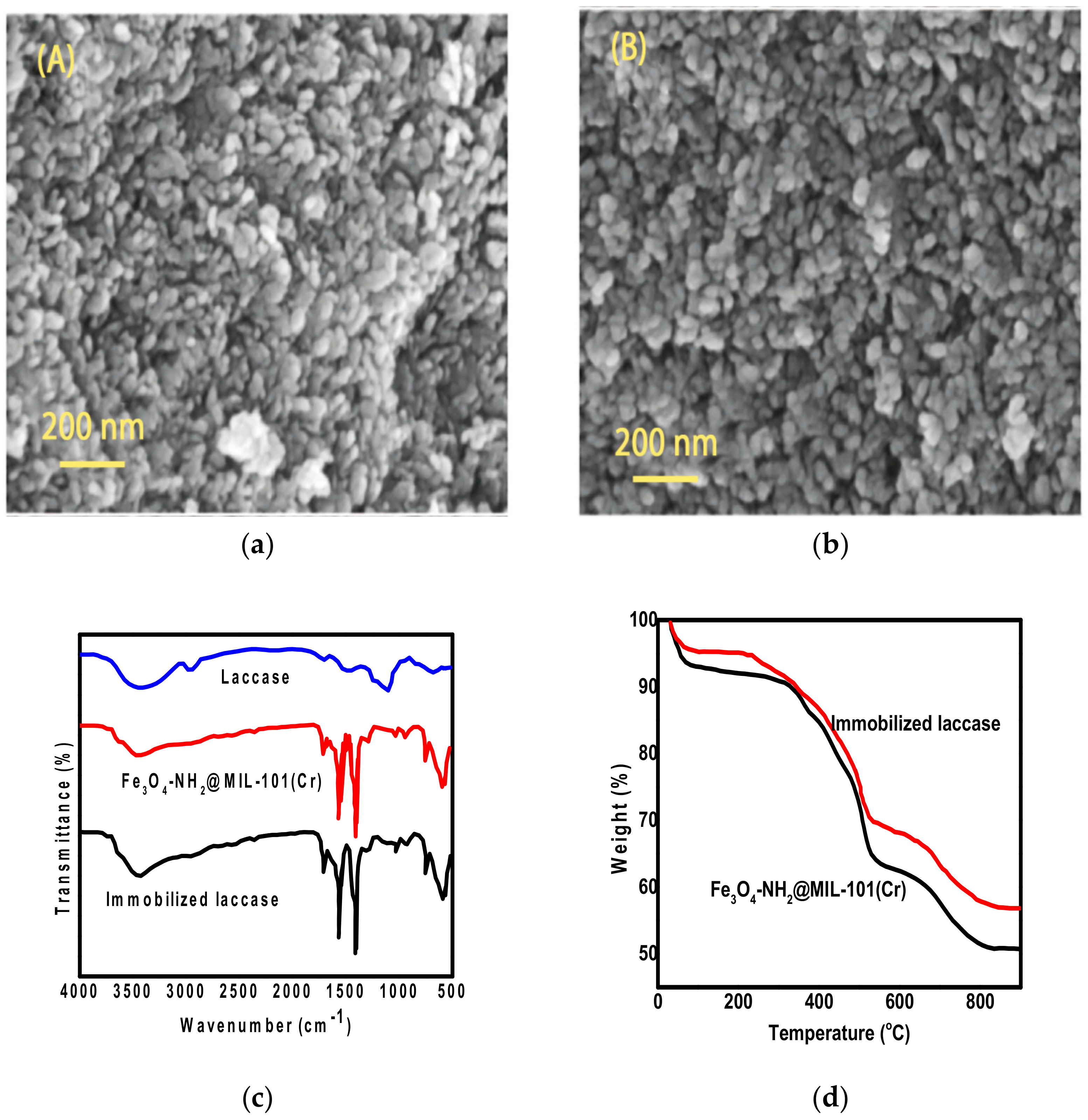 Processes 09 00774 g001 Processes 09 00774 g001