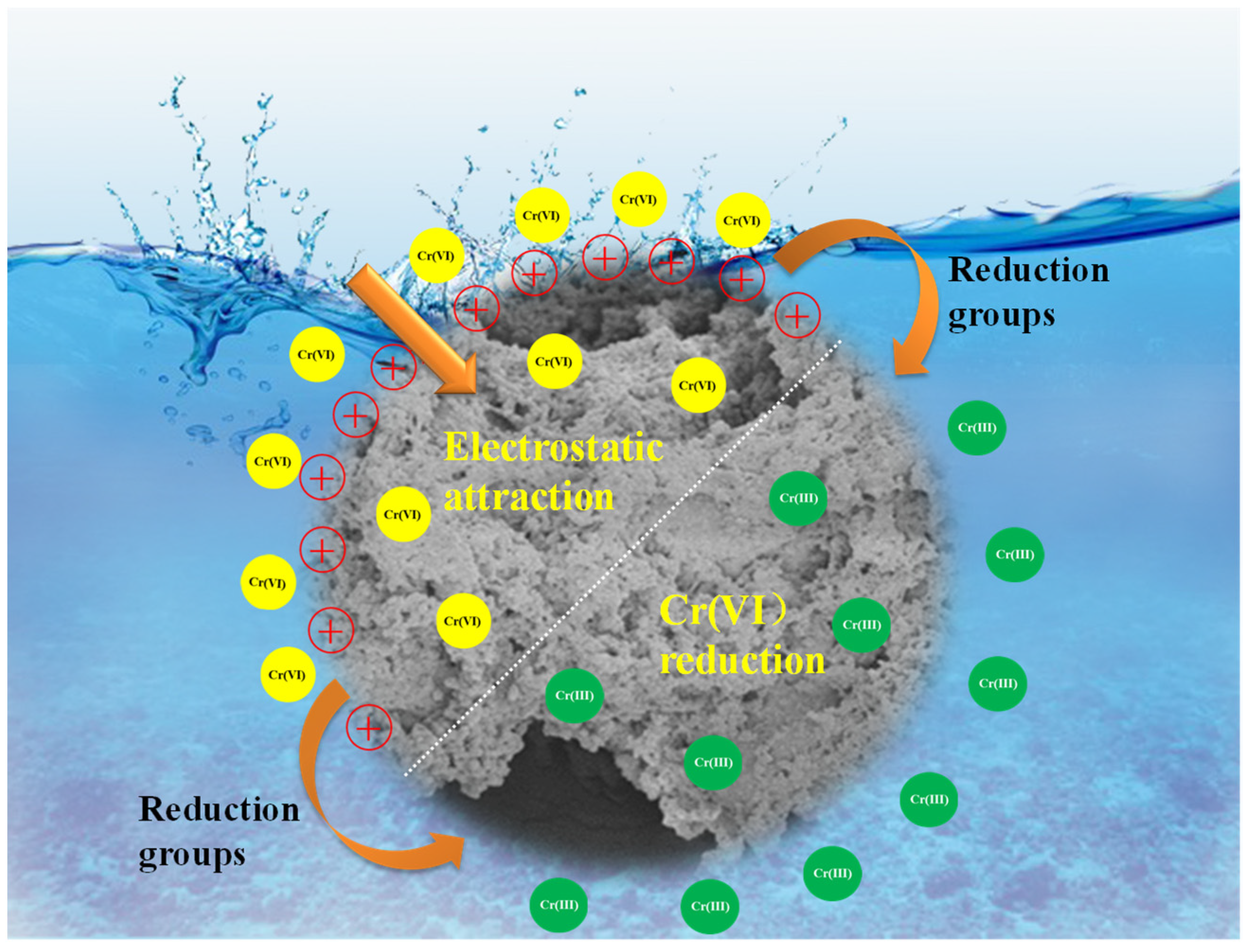 Processes | Free Full-Text | Selective Adsorption of CR (VI) onto 
