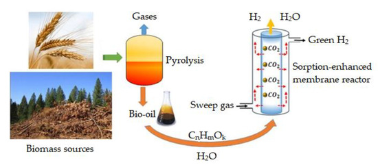 Processes 09 00797 g003 550
