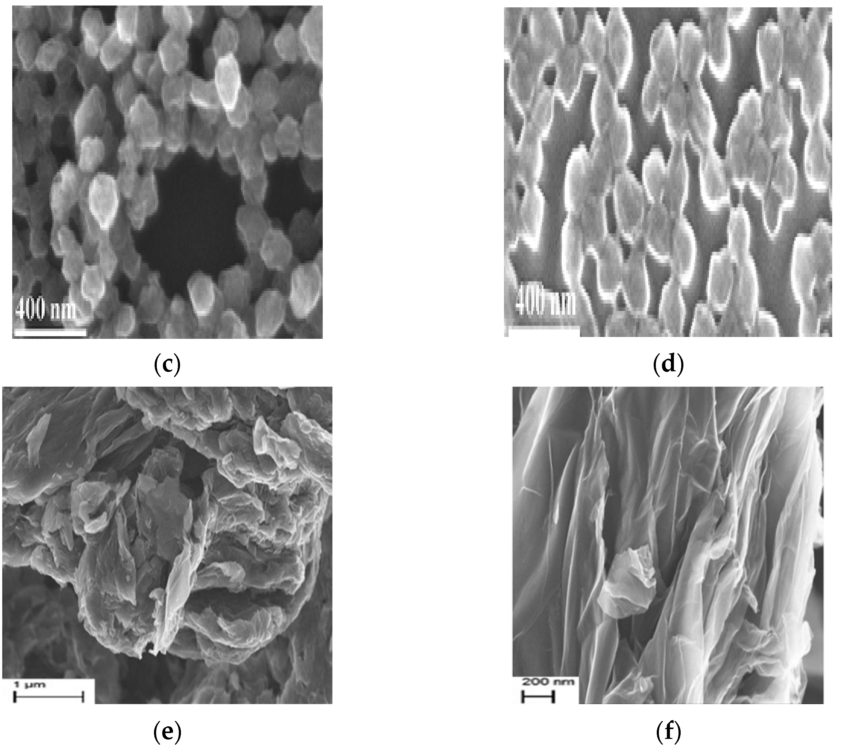 Processes 09 00818 g002b
