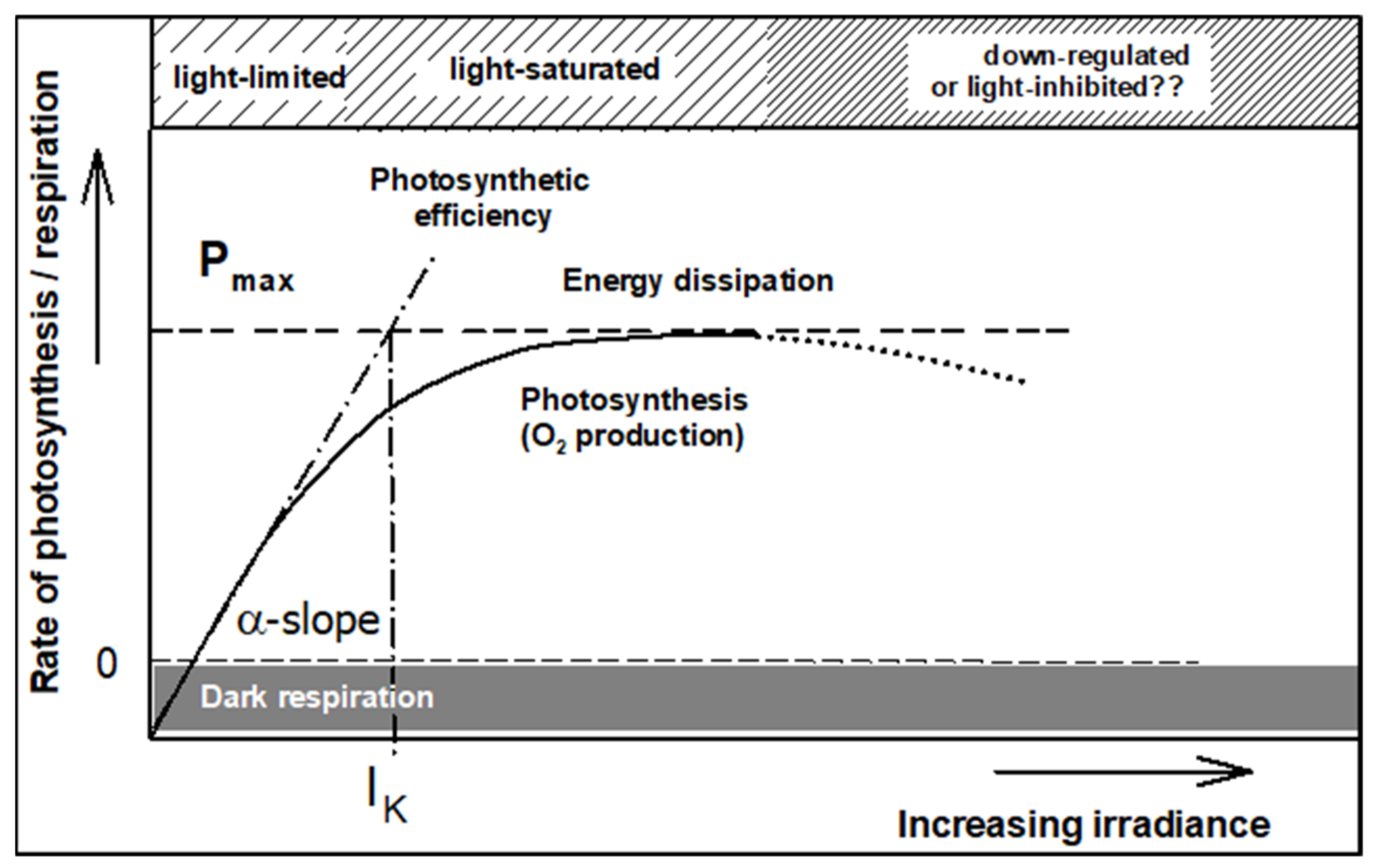 Processes 09 00820 g004 Processes 09 00820 g004