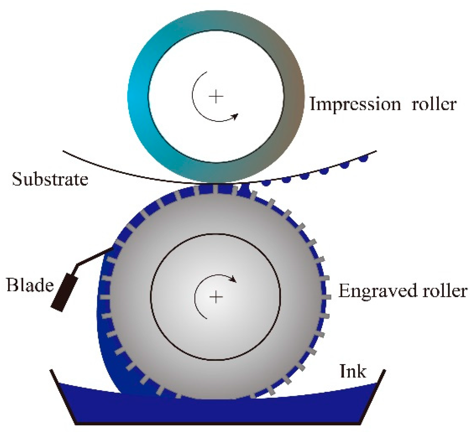 23 Rotogravure Printing Process Steps