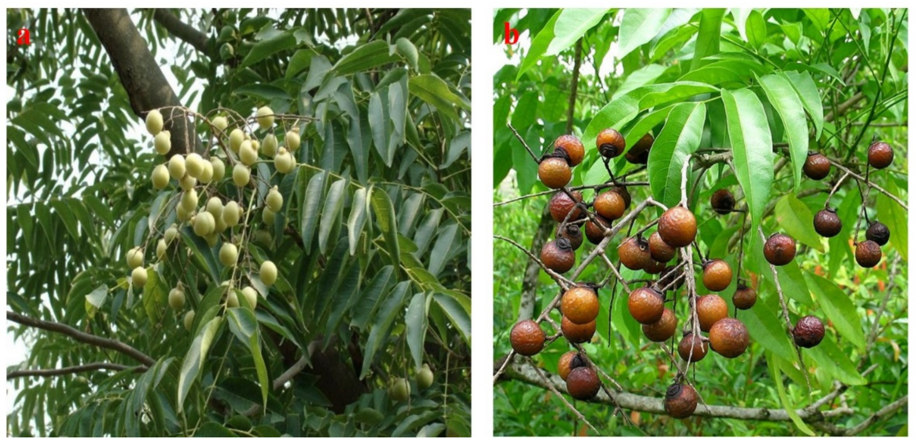 Processes 09 00840 g001