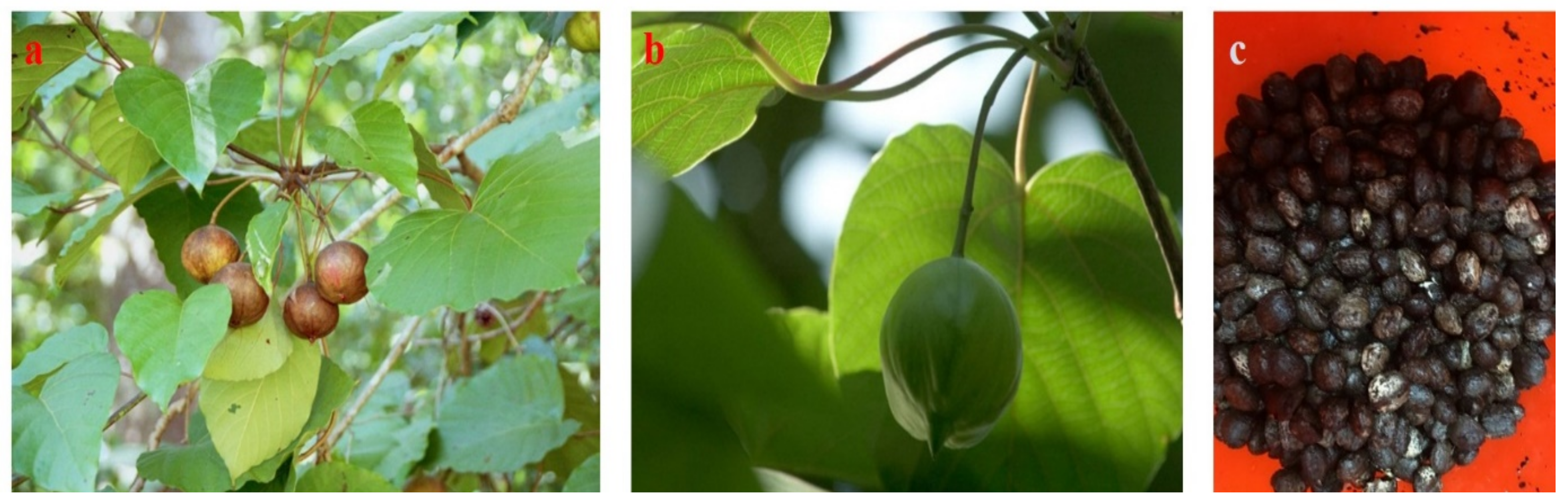 Processes 09 00840 g002