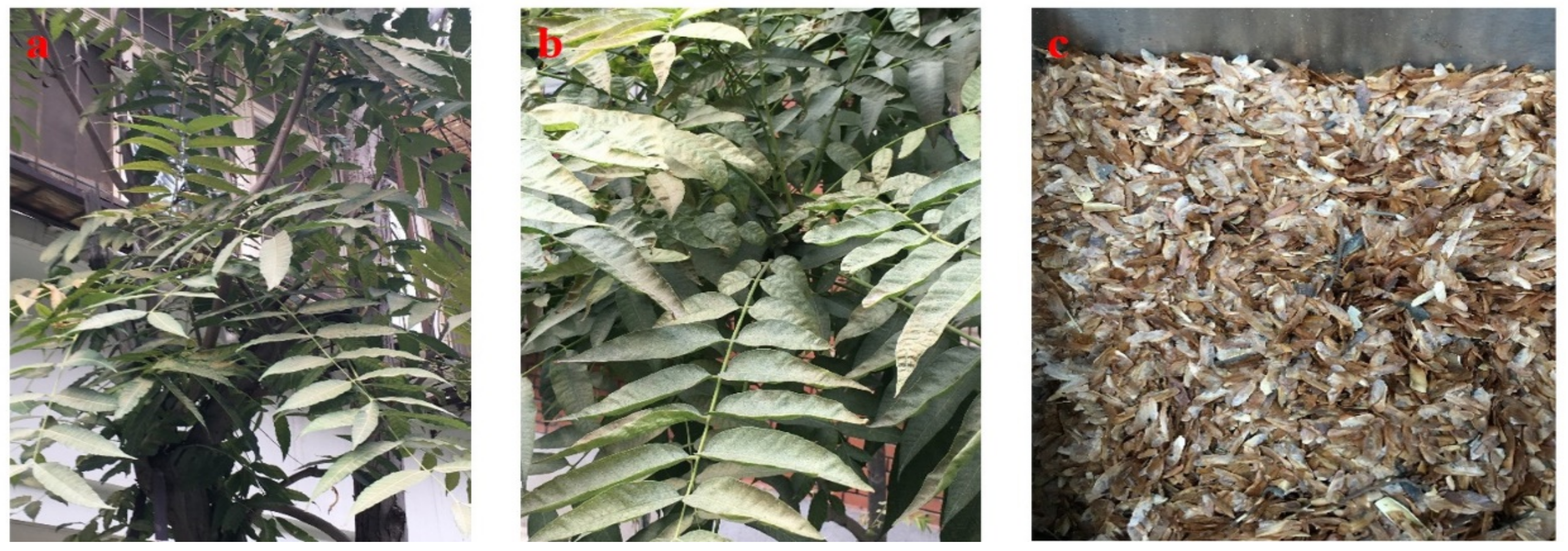 Processes 09 00840 g004