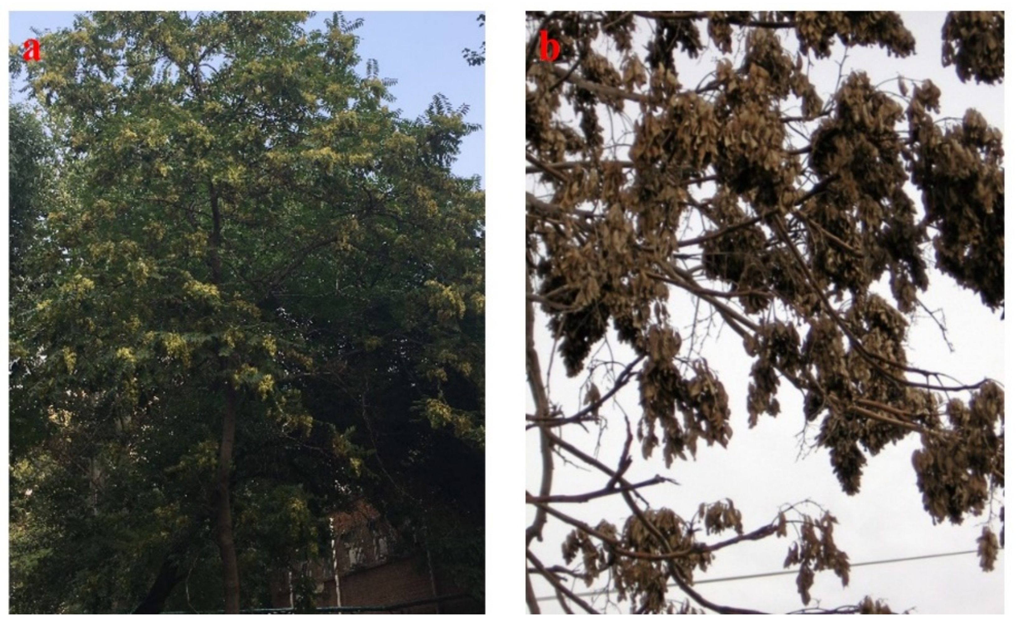 Processes 09 00840 g005