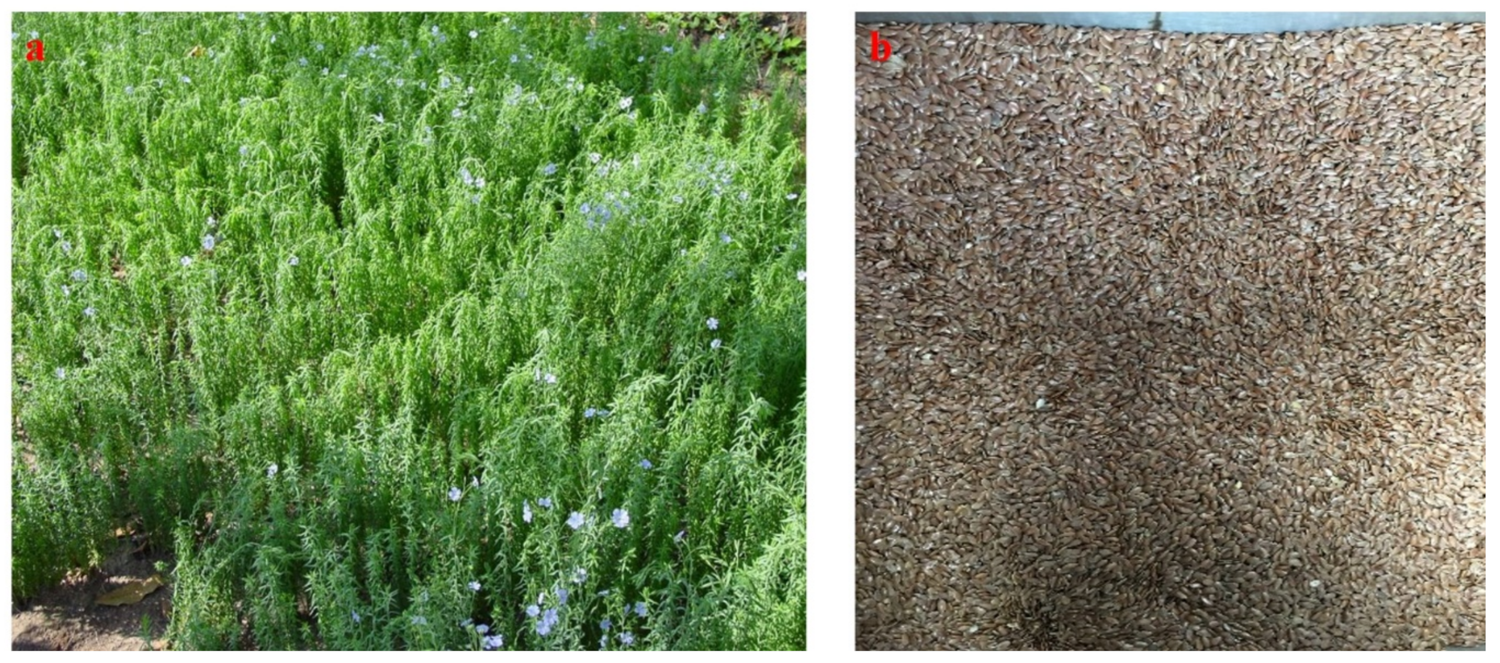 Processes 09 00840 g006