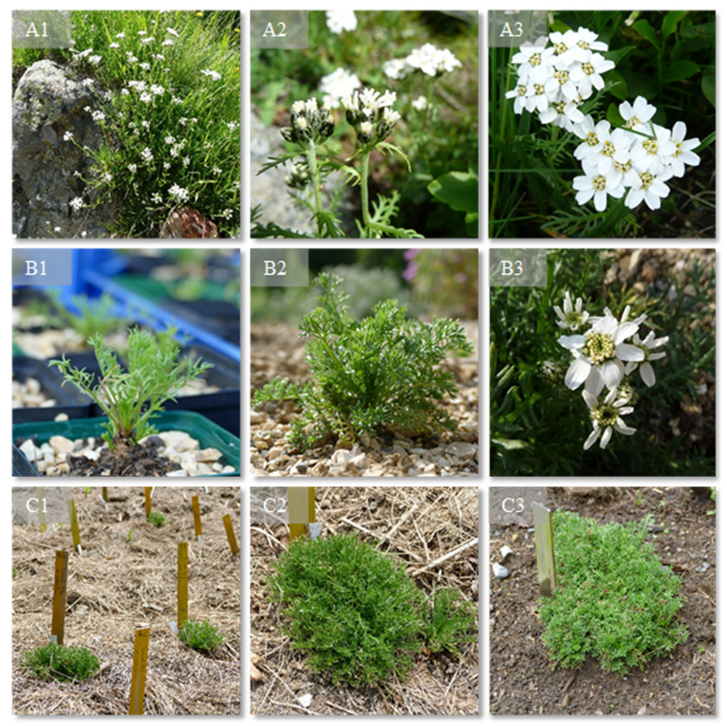 Processes 09 00853 g001