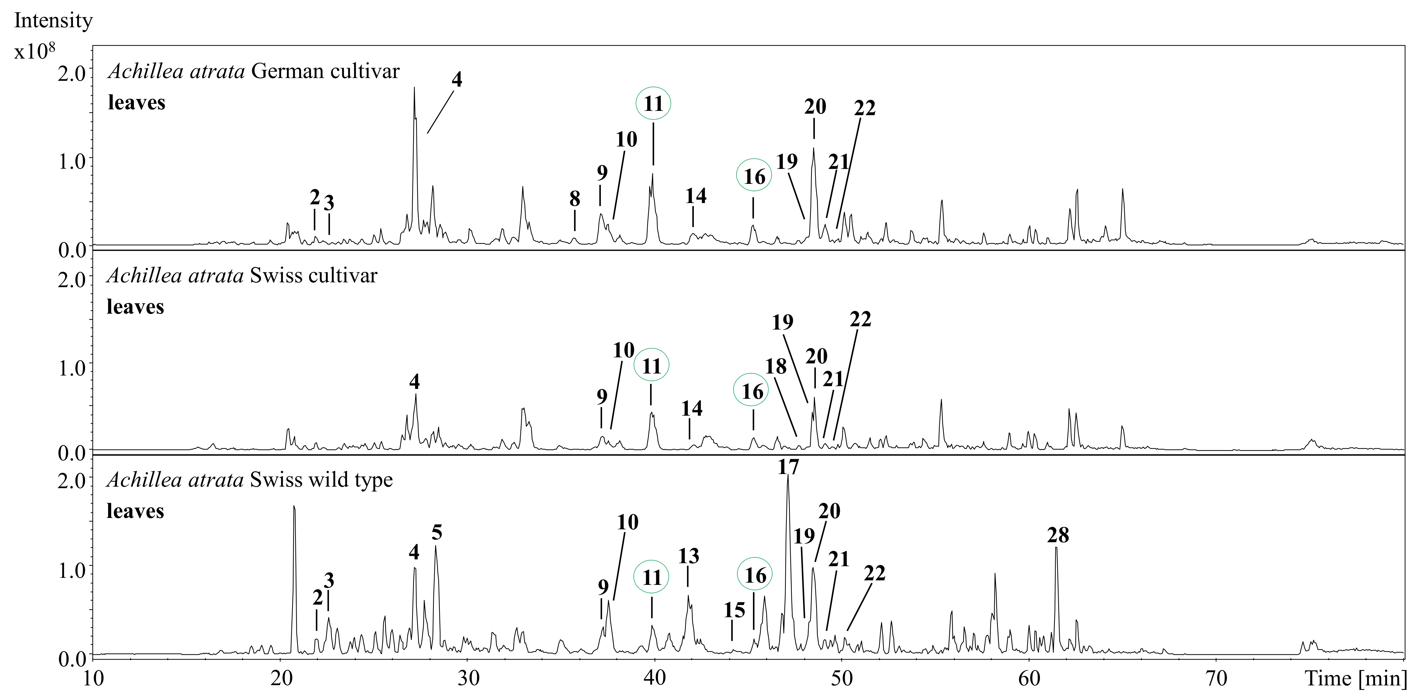 Processes 09 00853 g003