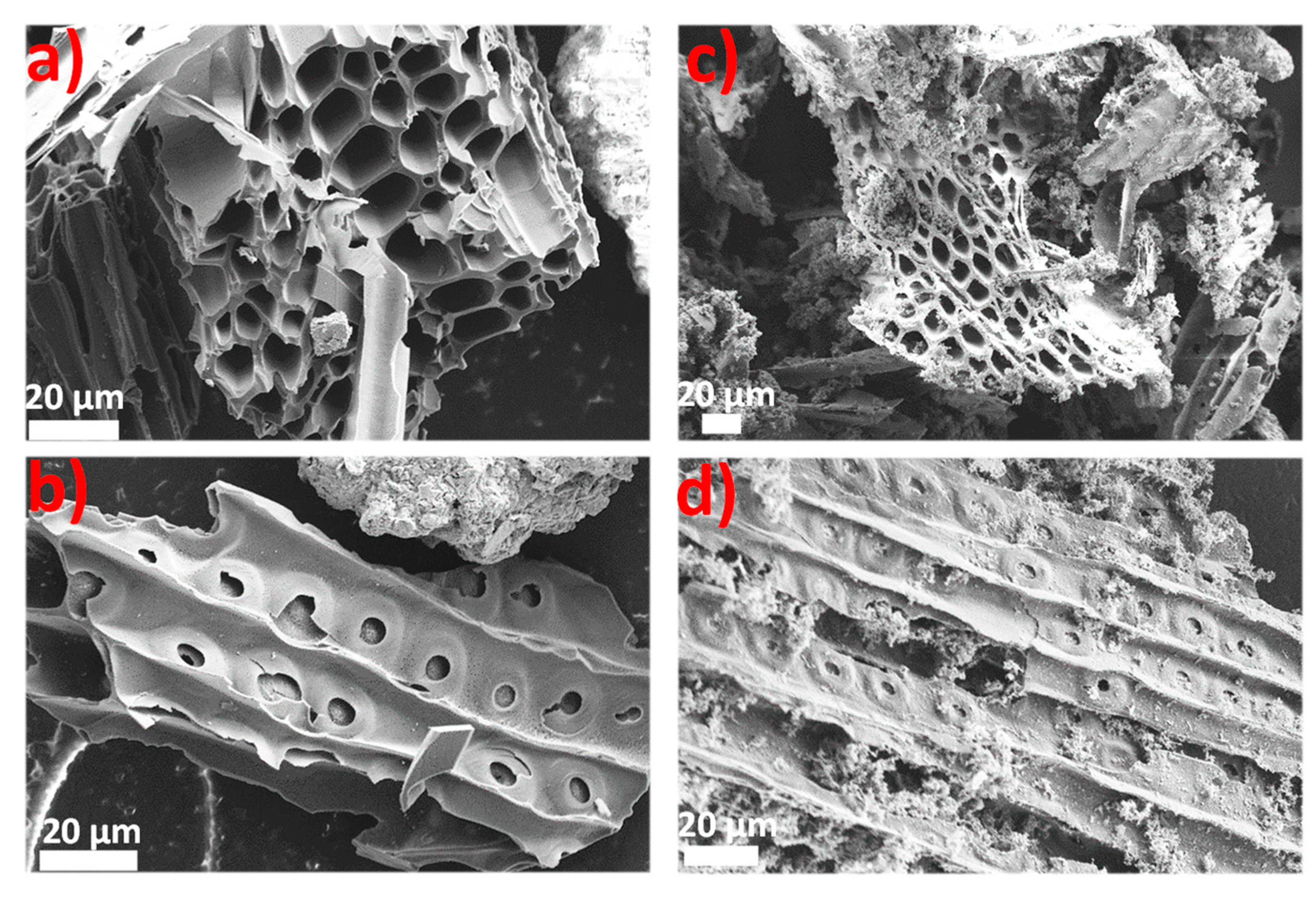 Processes 09 00860 g002