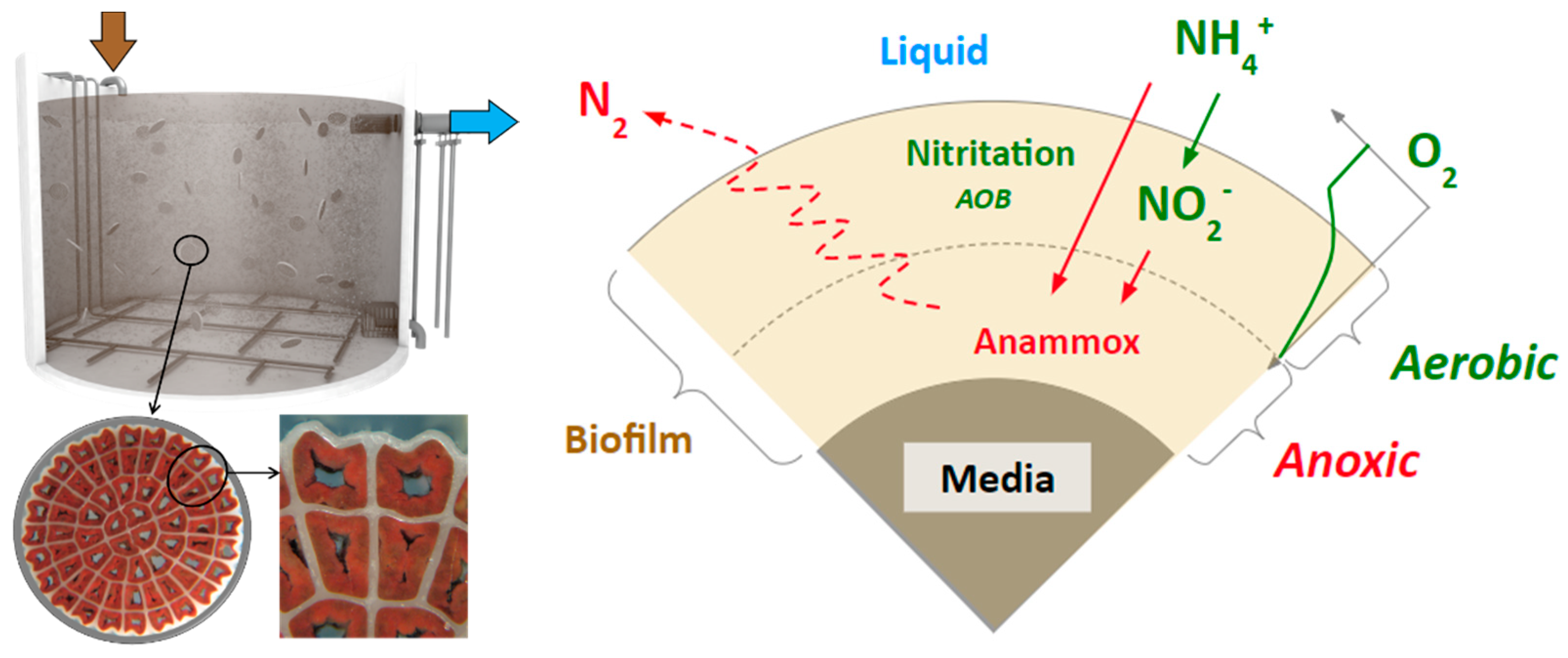 Processes 09 00863 g001