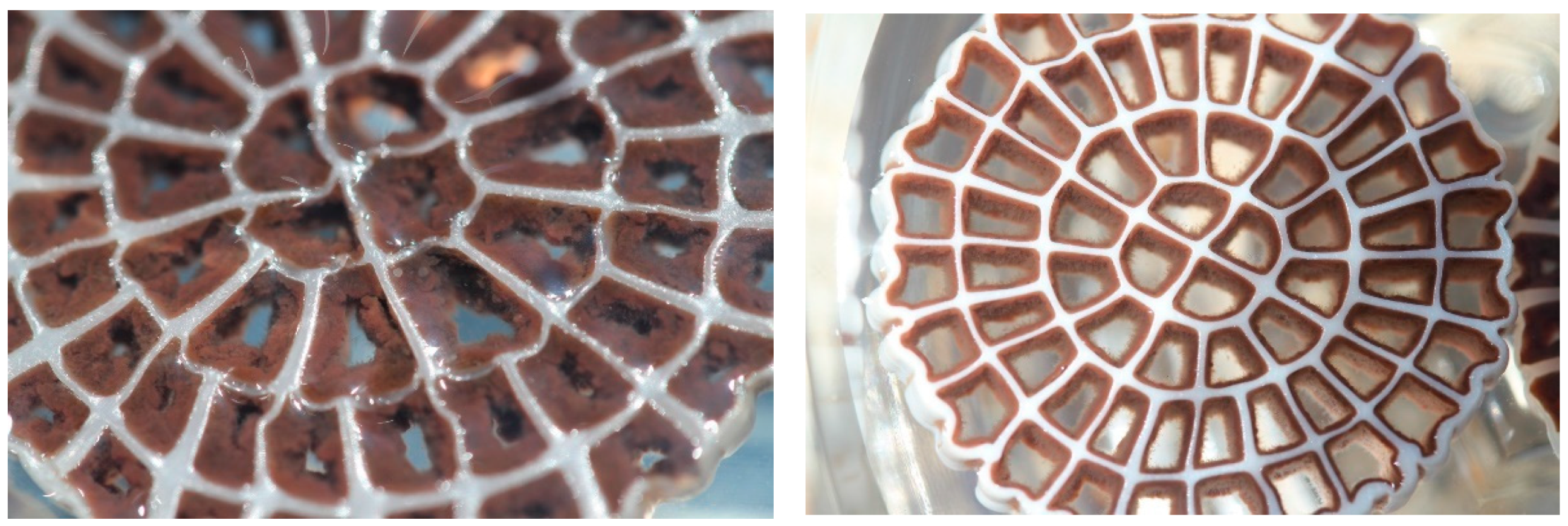 Processes 09 00863 g003