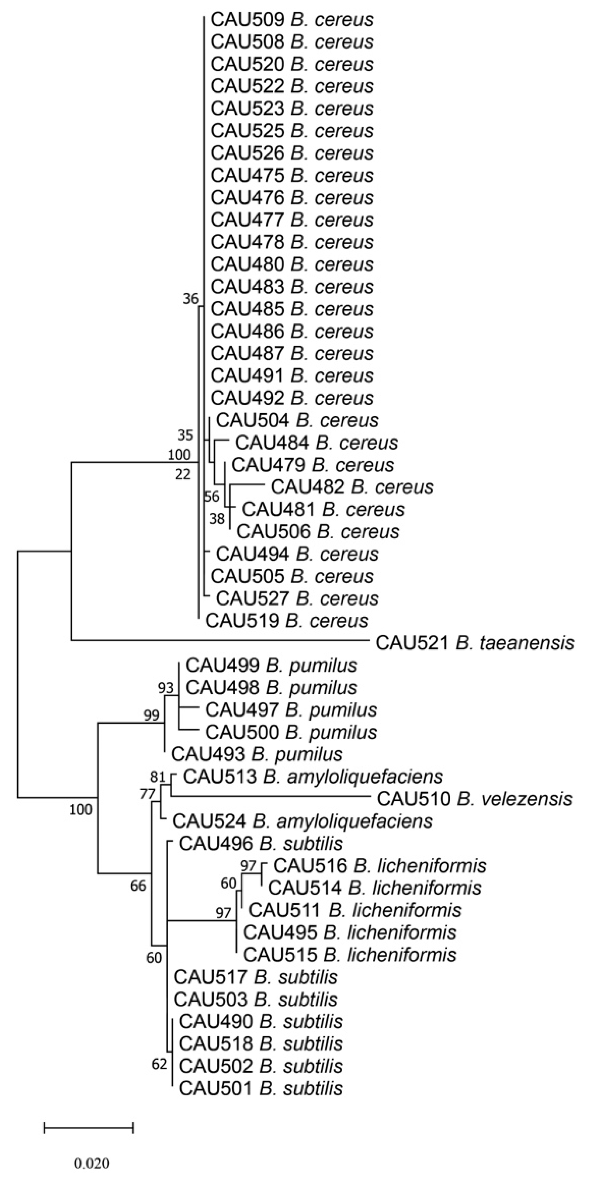 Processes 09 00866 g002 Processes 09 00866 g002