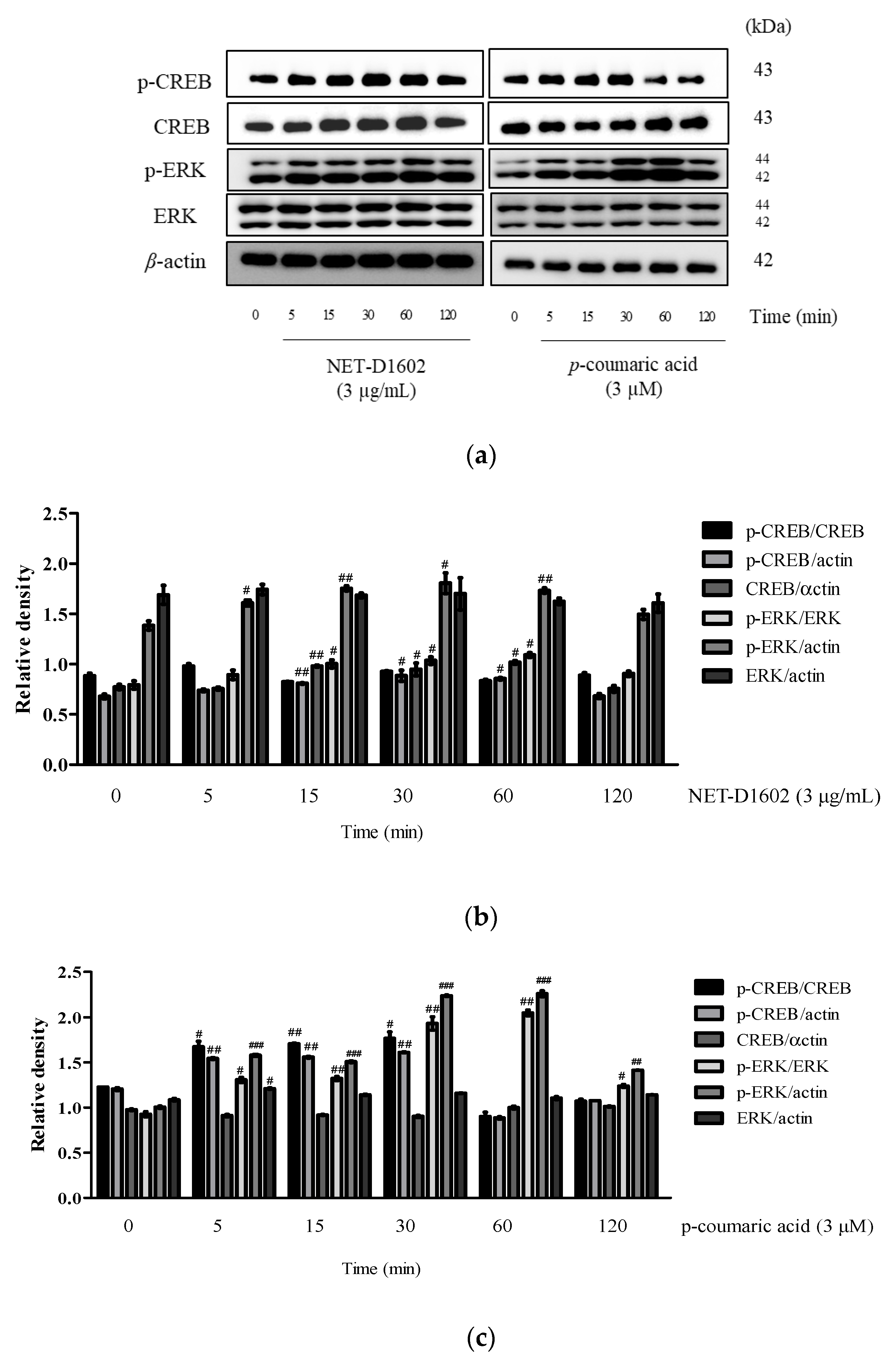 Processes 09 00869 g005 Processes 09 00869 g005
