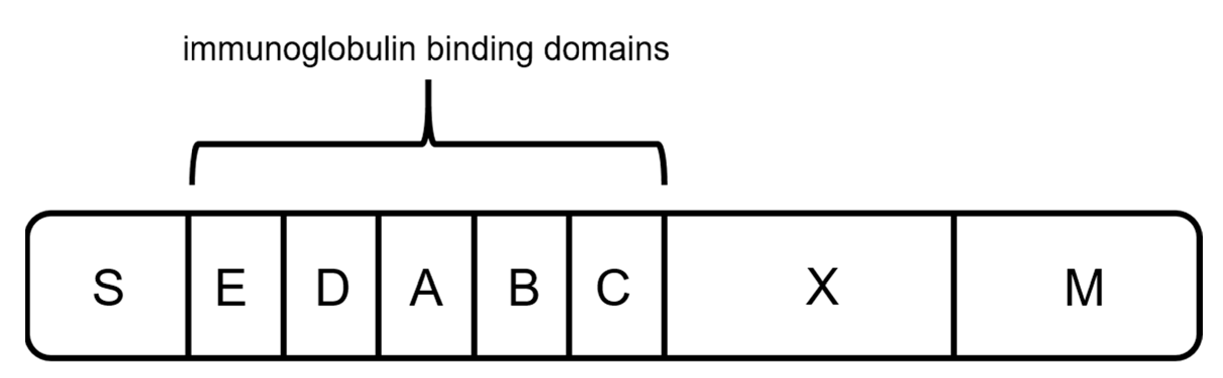 Processes 09 00874 g004