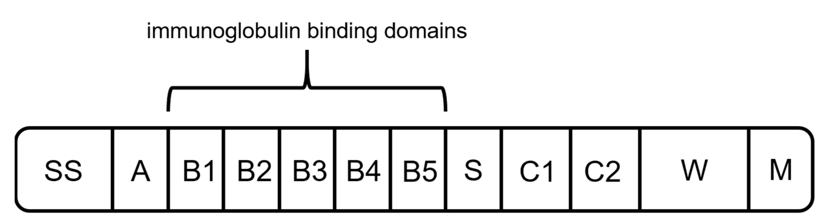 Processes 09 00874 g006