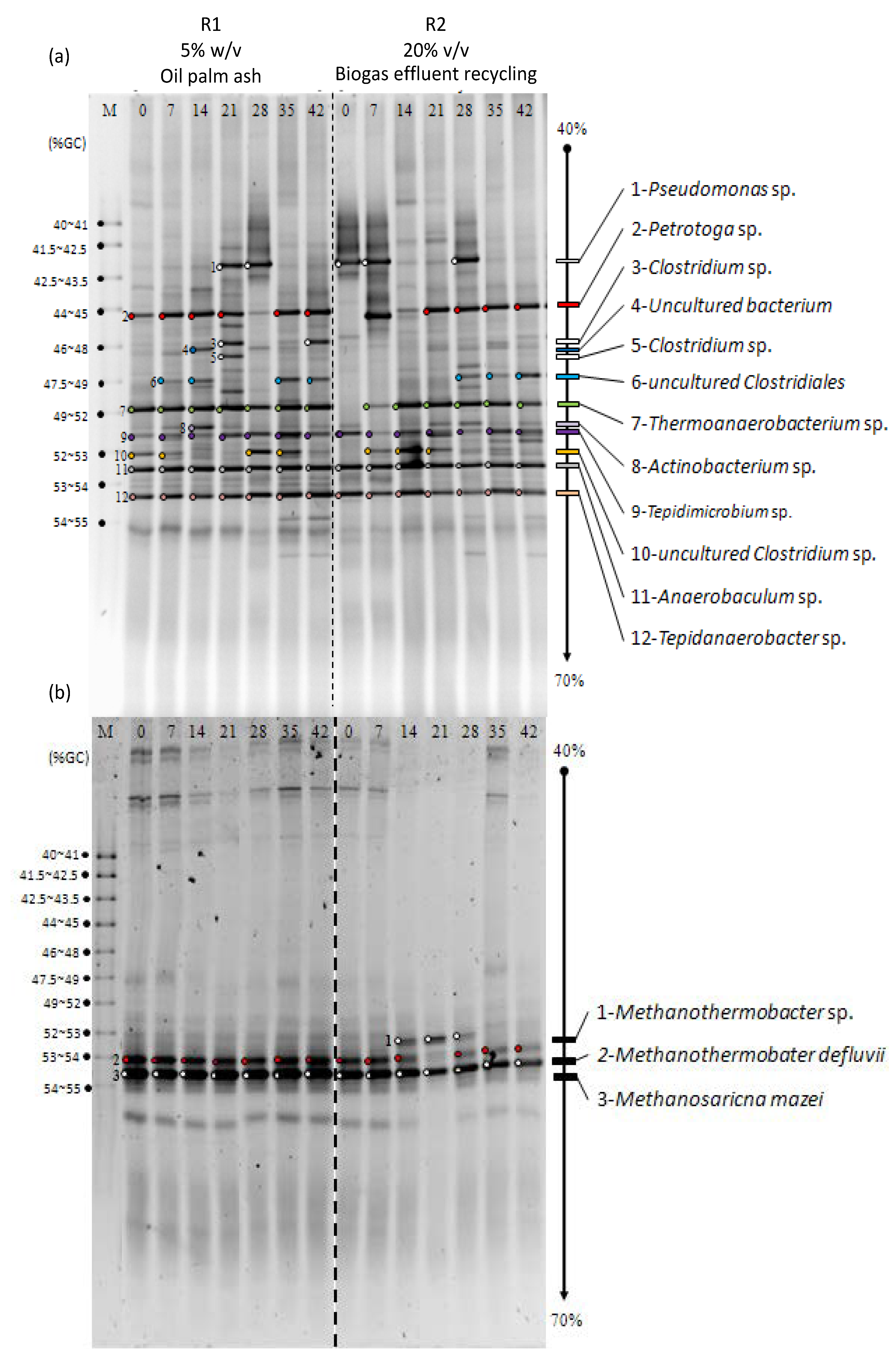 Processes 09 00878 g005