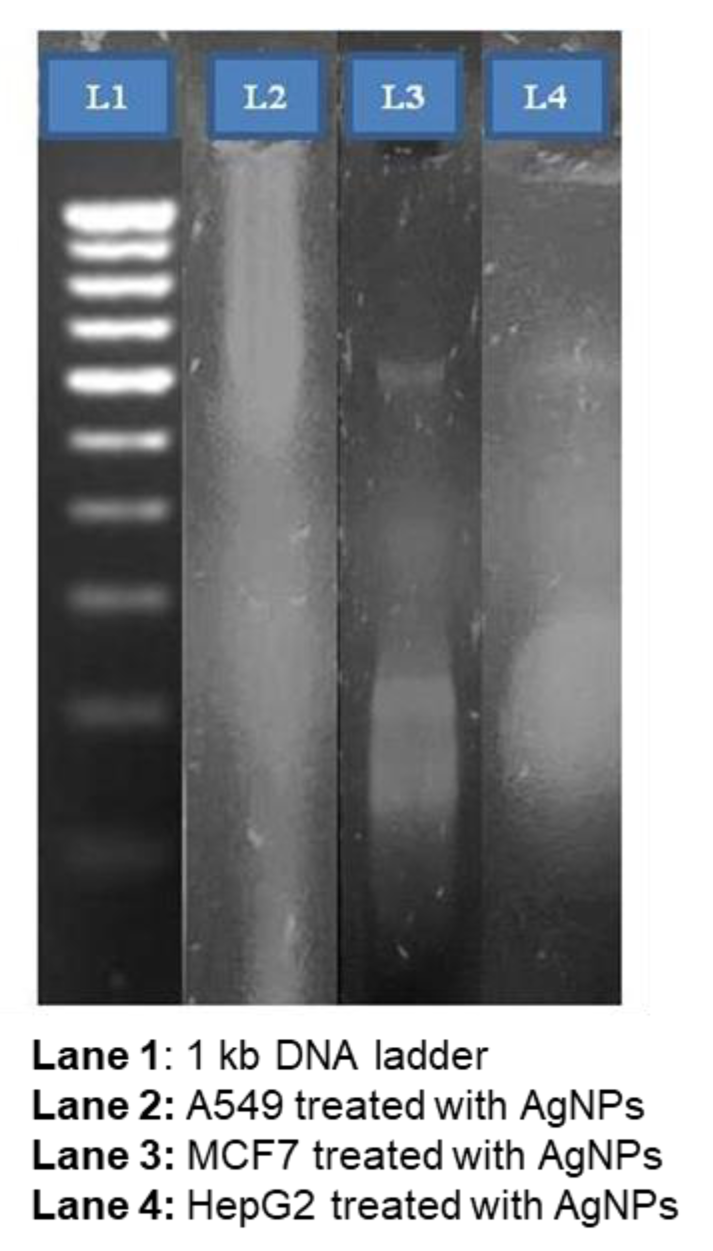 Processes 09 00888 g008 Processes 09 00888 g008