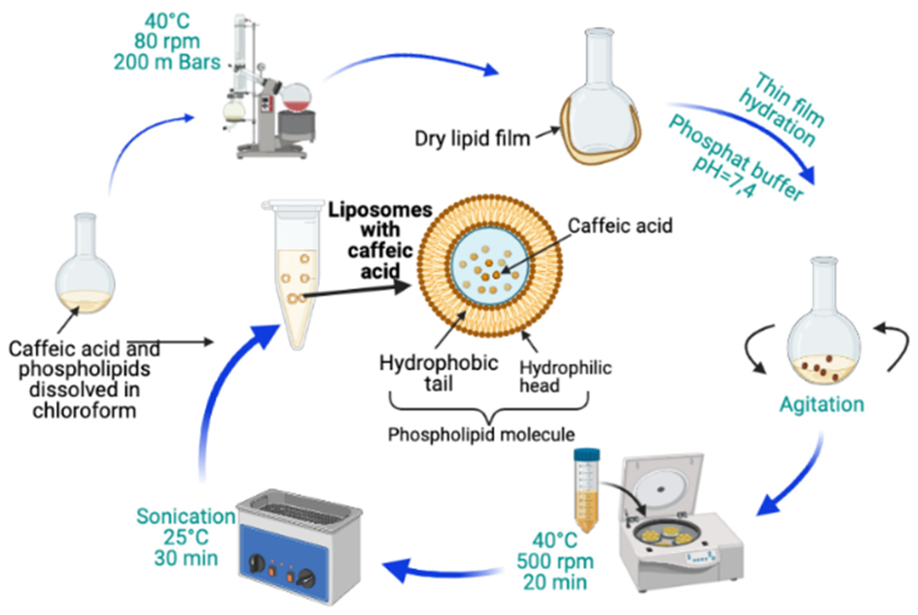 Processes 09 00912 g001