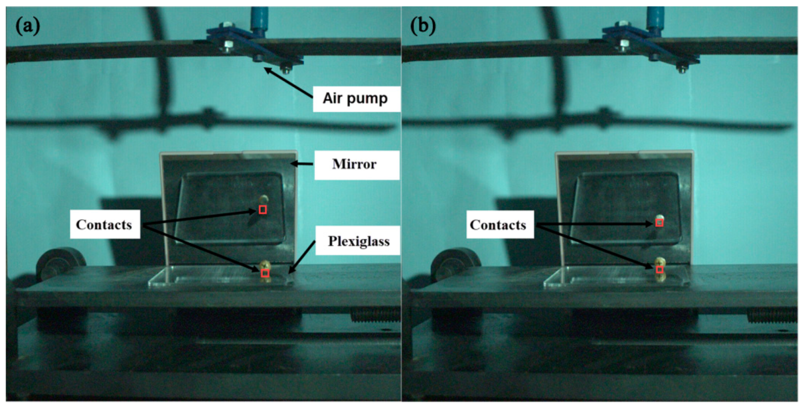 Processes 09 00914 g001
