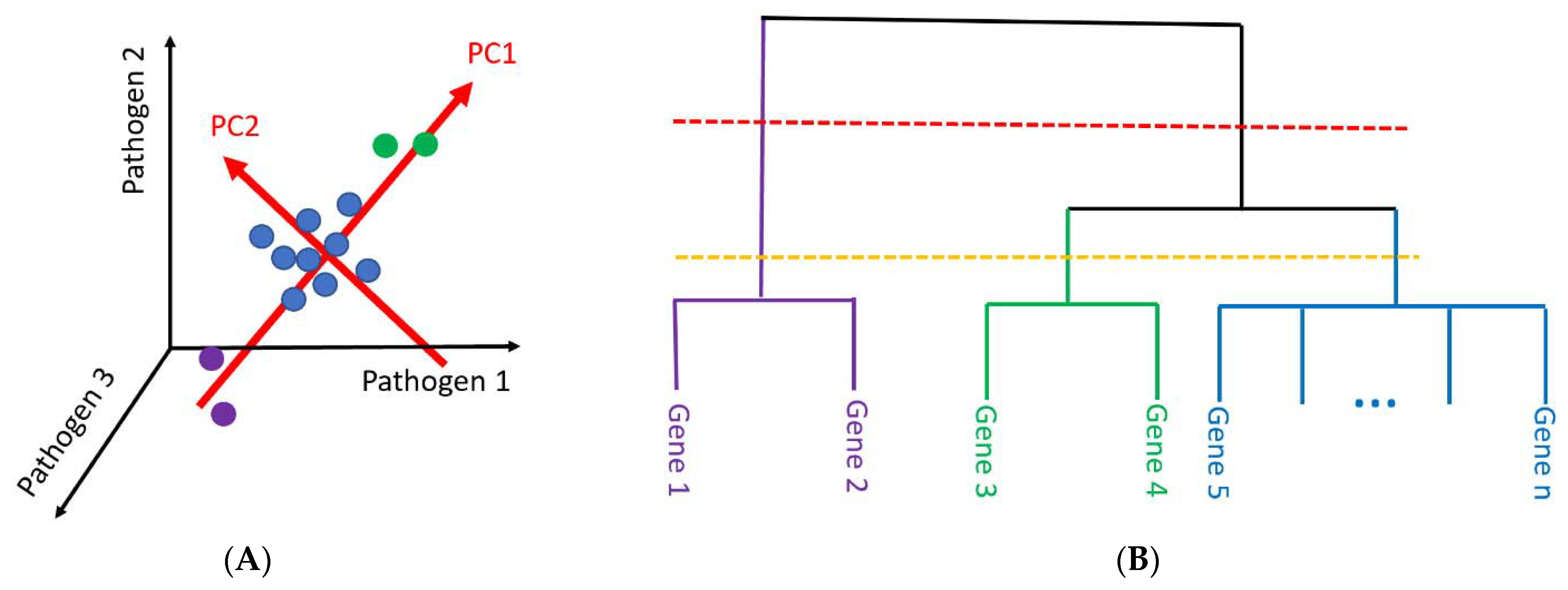 Processes 09 00927 g001 Processes 09 00927 g001