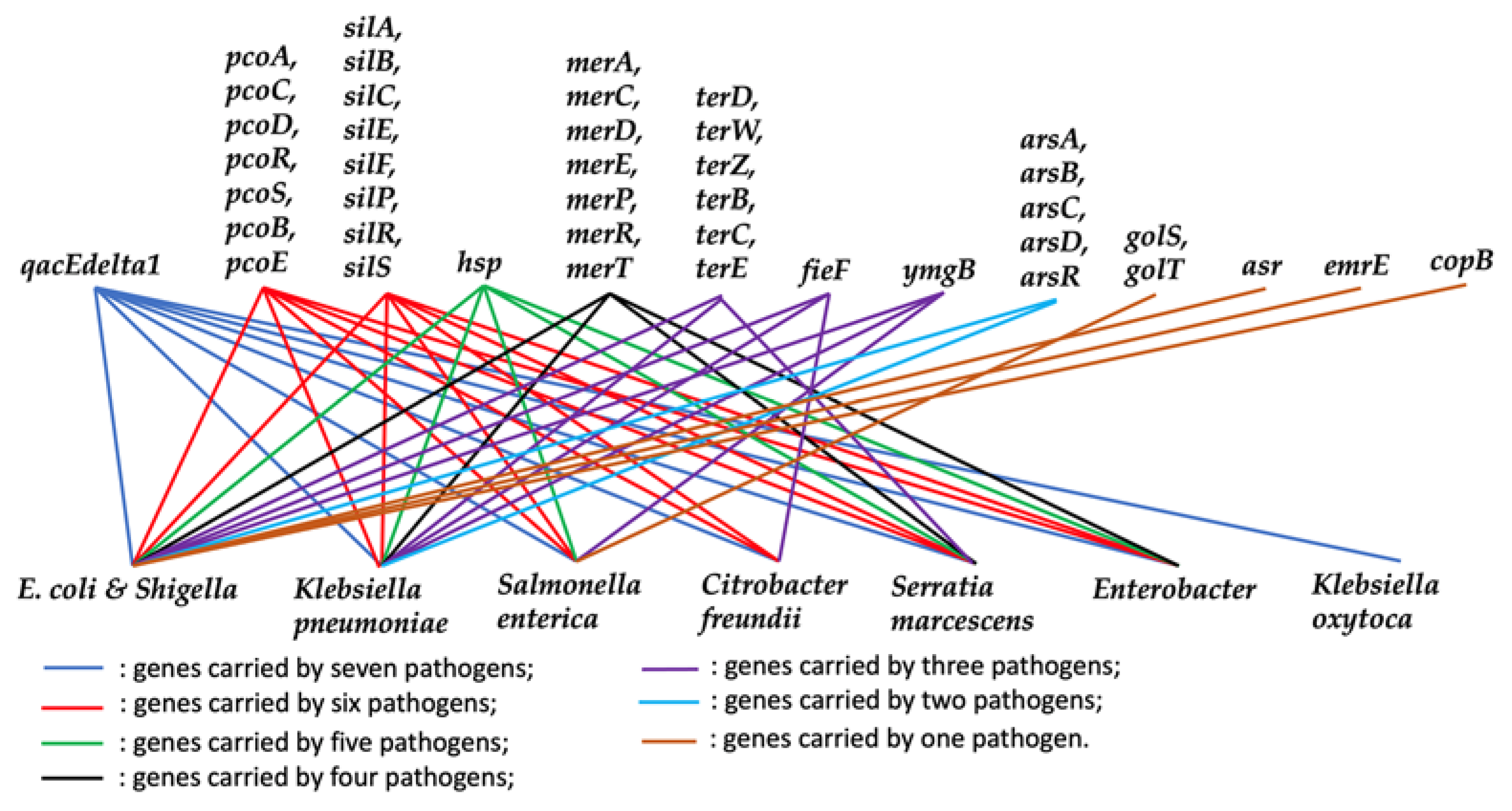 Processes 09 00927 g004 Processes 09 00927 g004