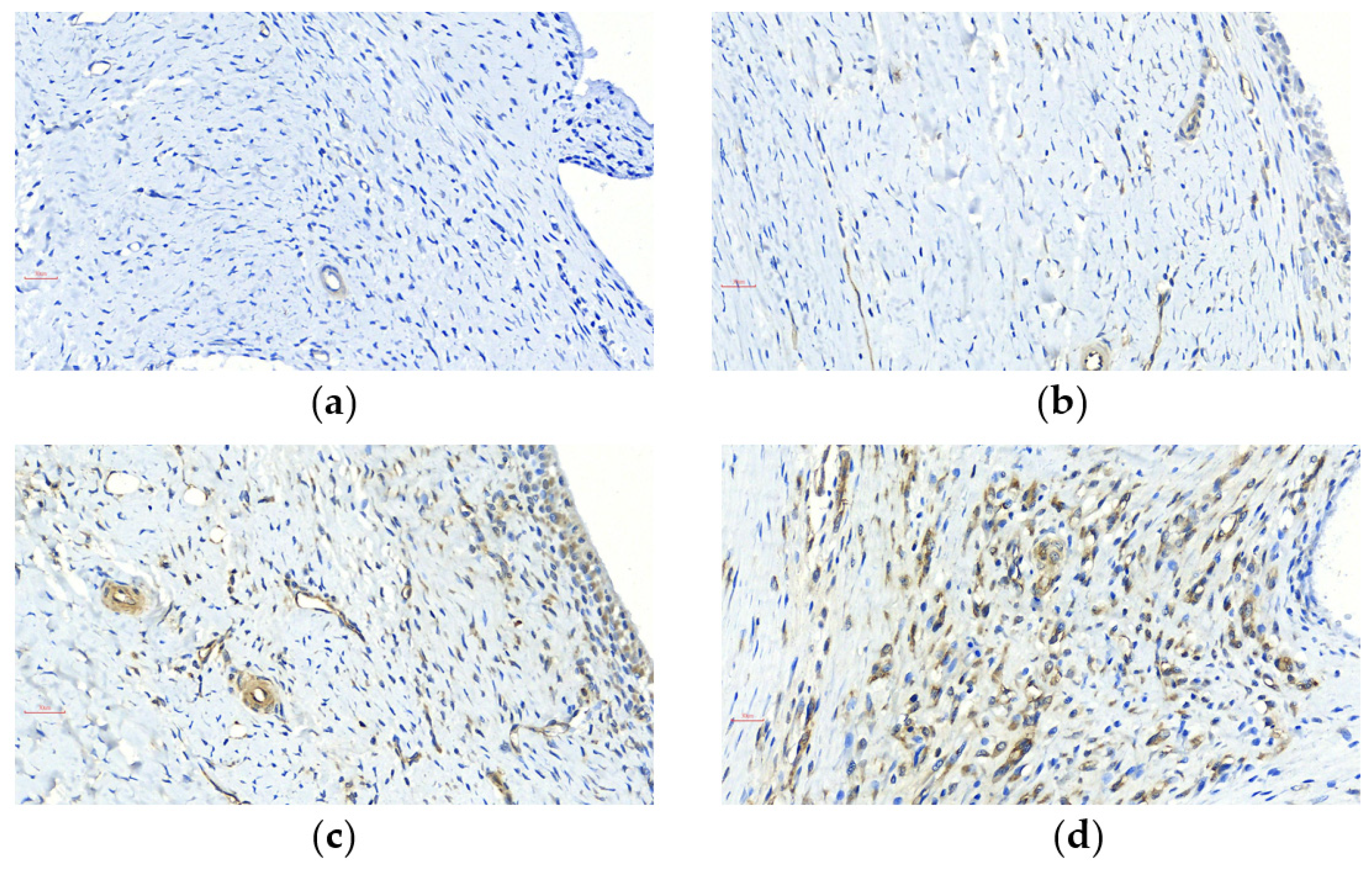 Processes 09 00931 g002 Processes 09 00931 g002