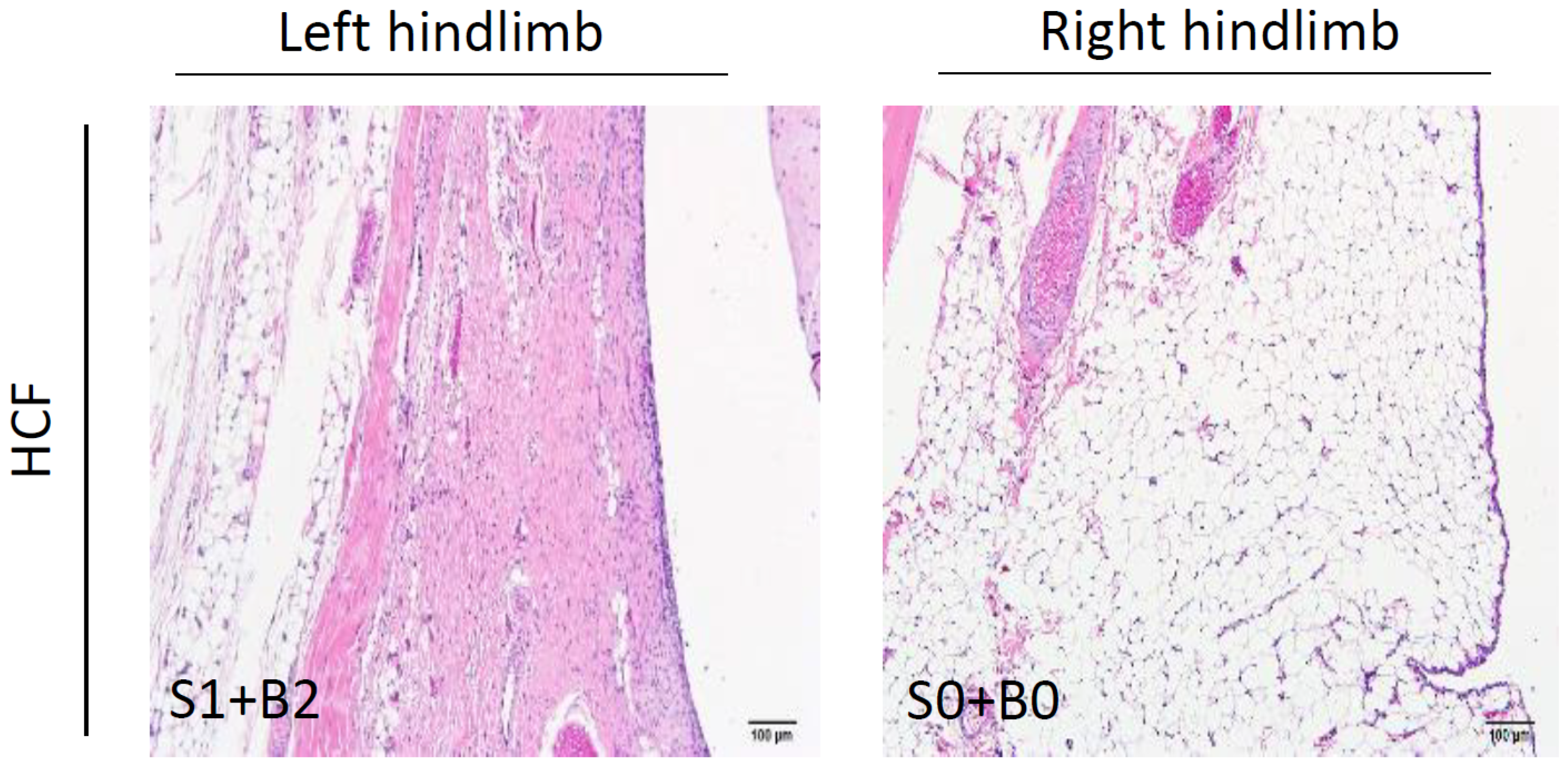 Processes 09 00931 g003a Processes 09 00931 g003a
