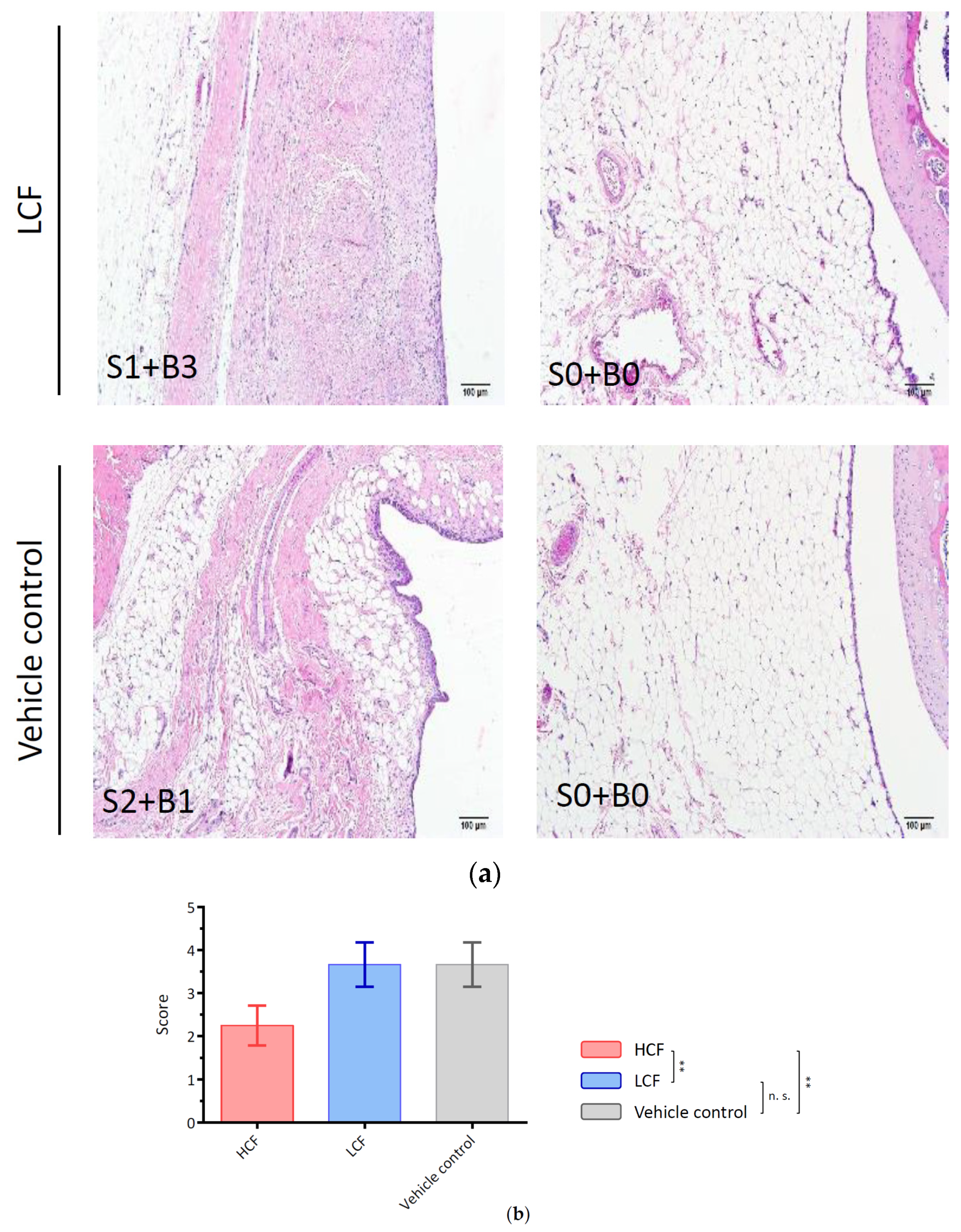 Processes 09 00931 g003b Processes 09 00931 g003b