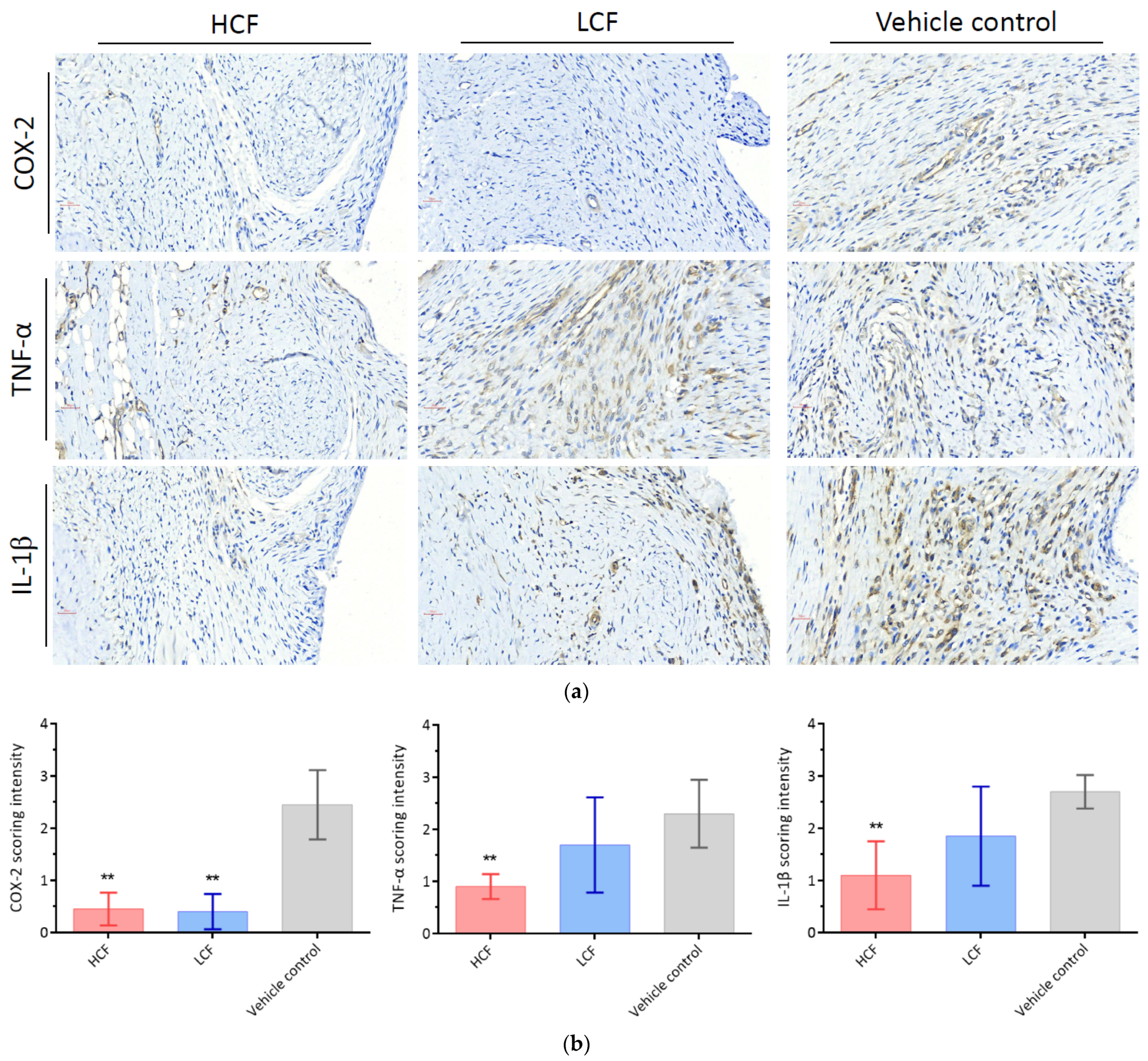 Processes 09 00931 g004 Processes 09 00931 g004