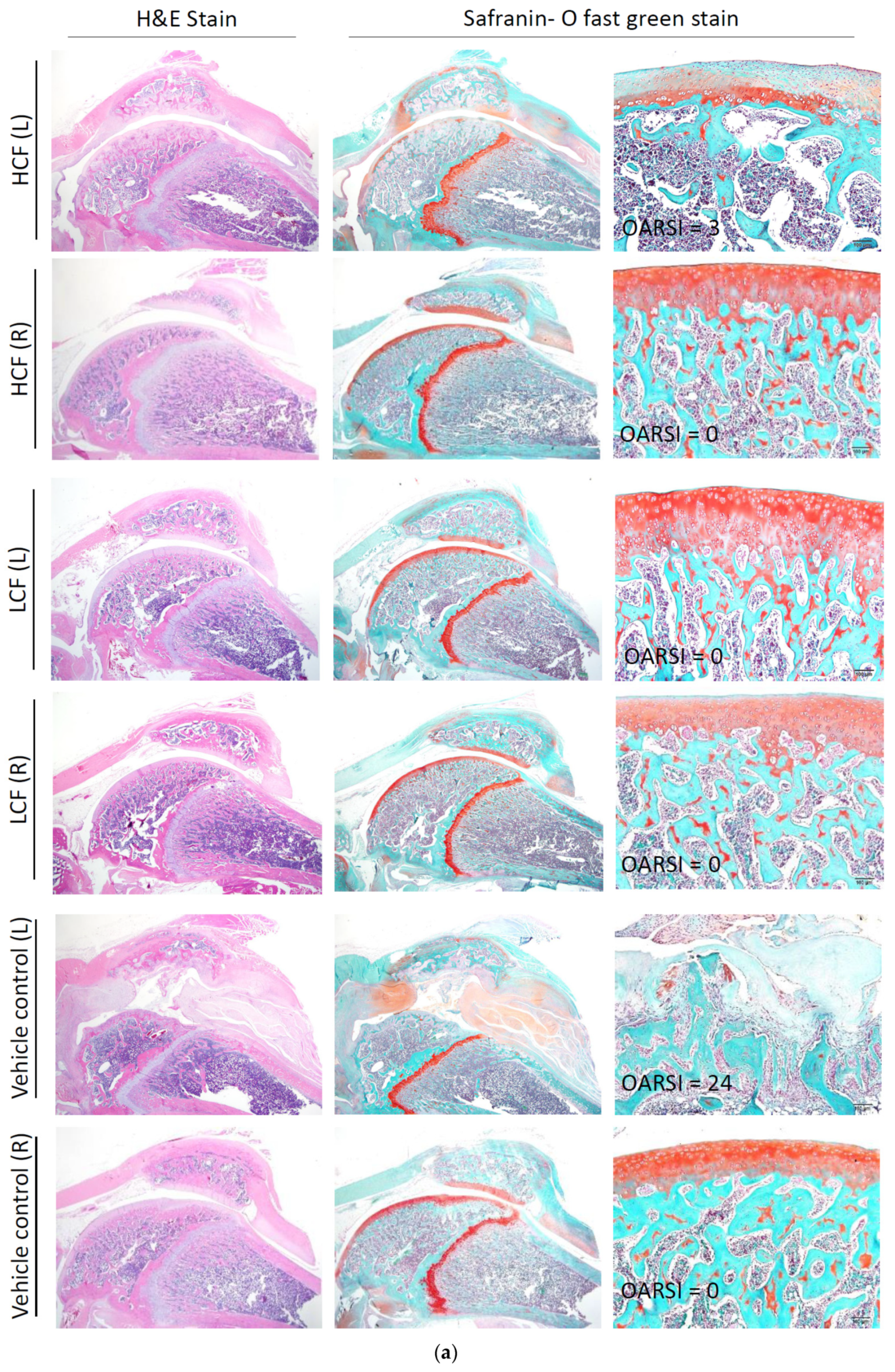 Processes 09 00931 g006a Processes 09 00931 g006a