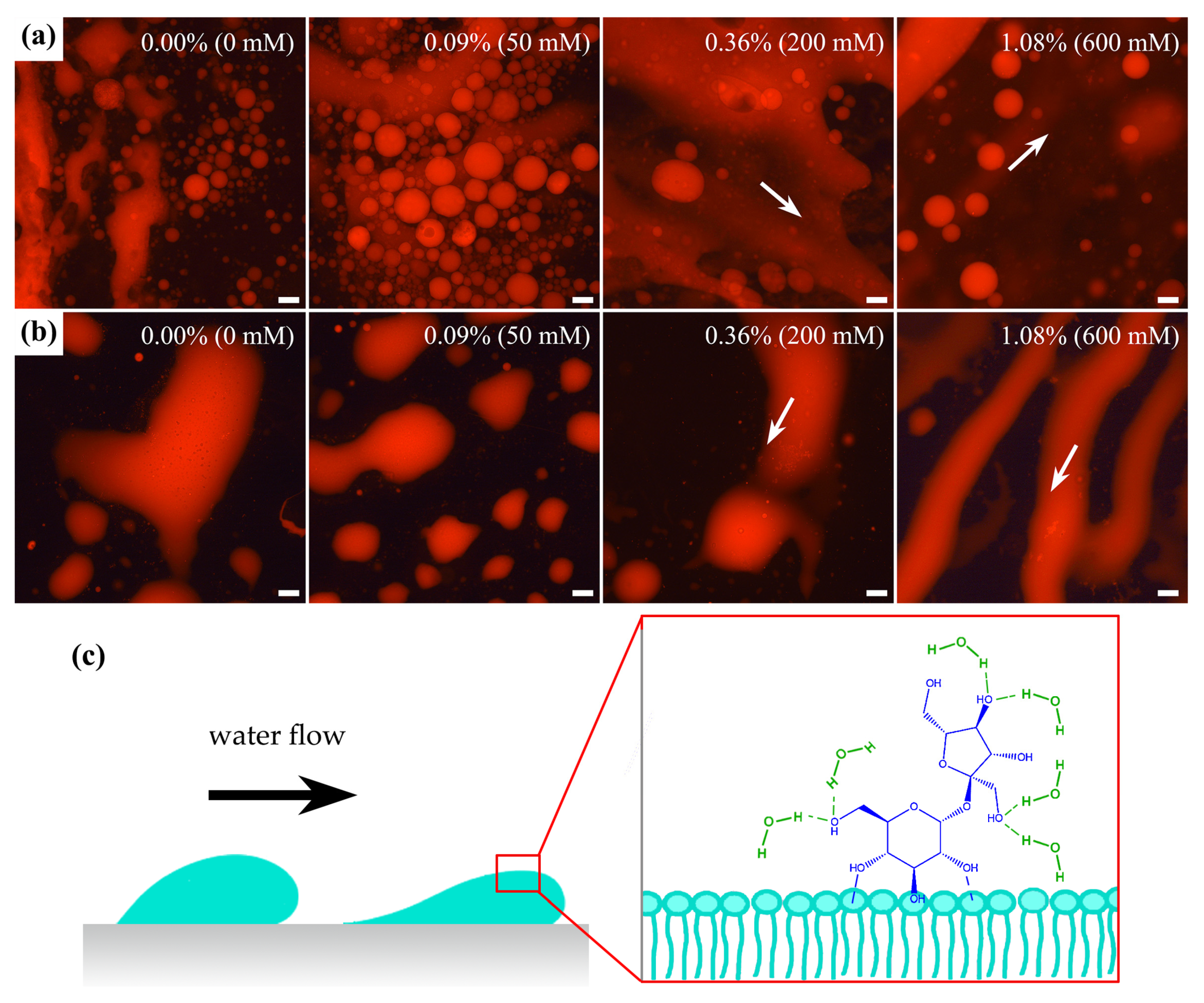 Processes 09 00945 g003