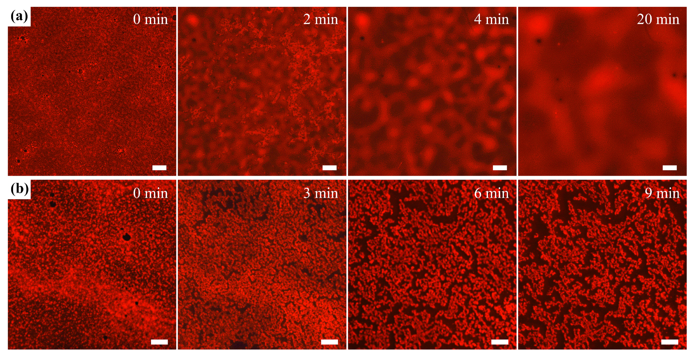Processes 09 00945 g006